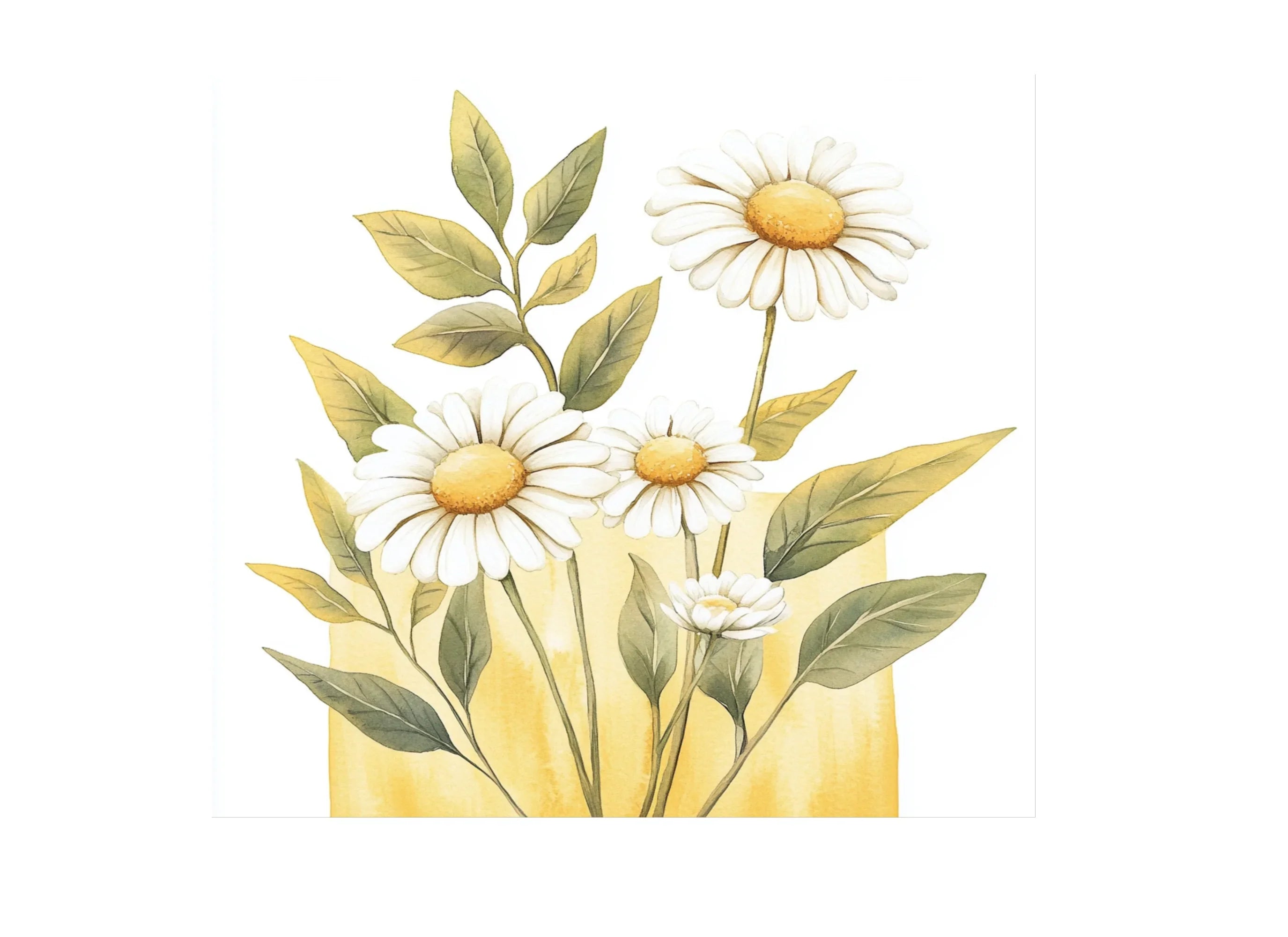 Daisy Clipart Bundle