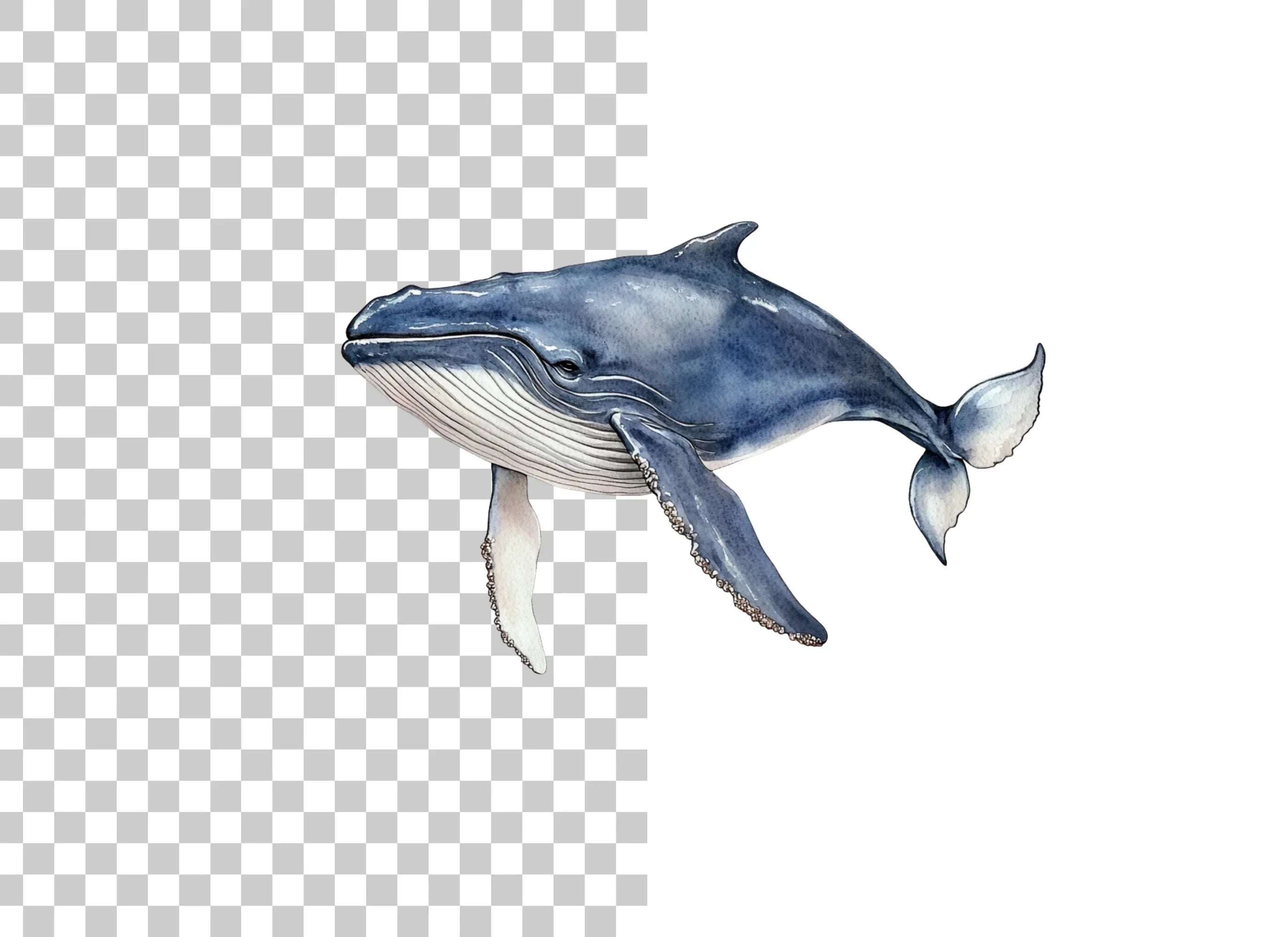 Blue Whale Clipart Bundle