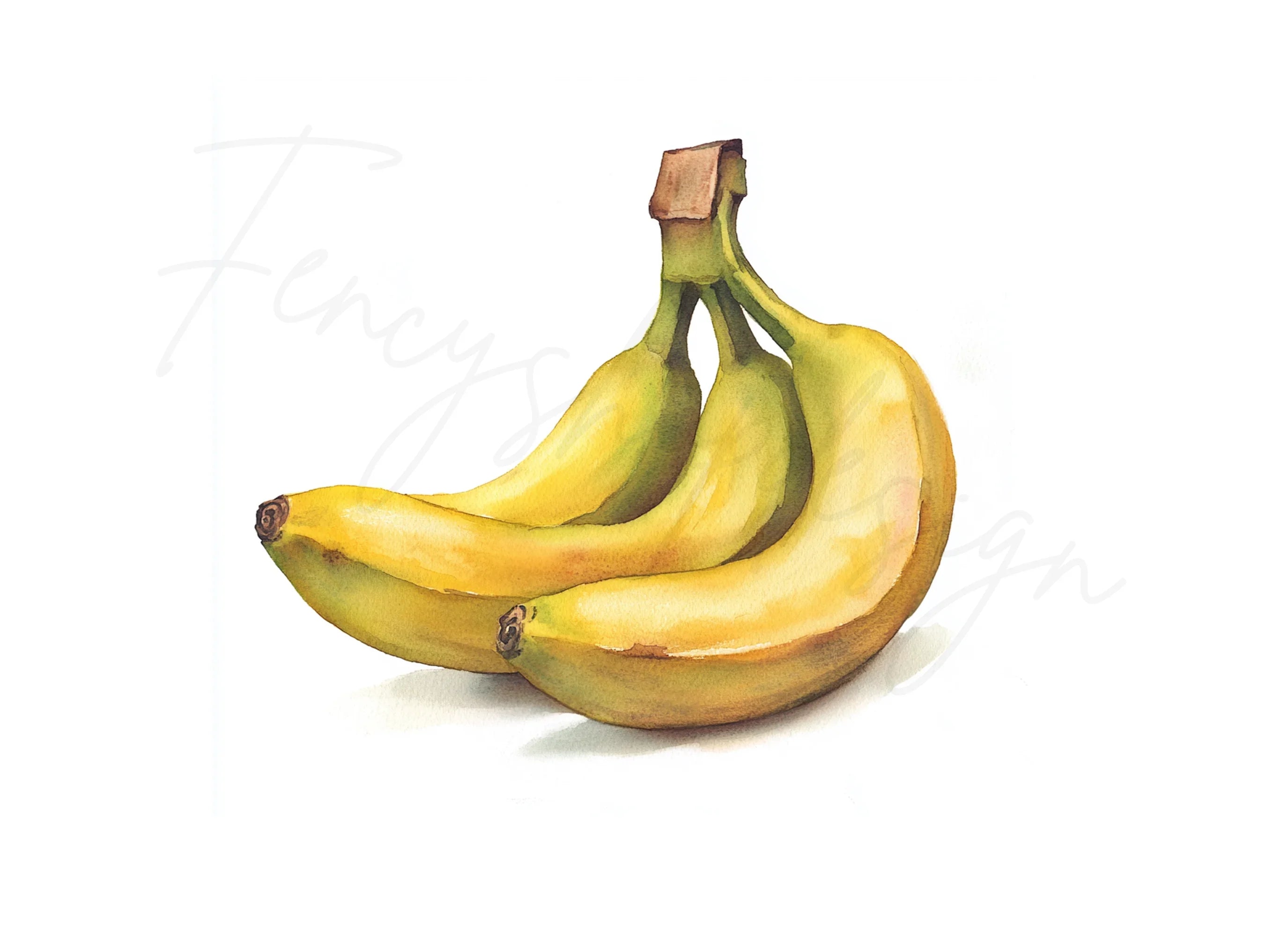 Single Bunch Bananas Clipart Bundle