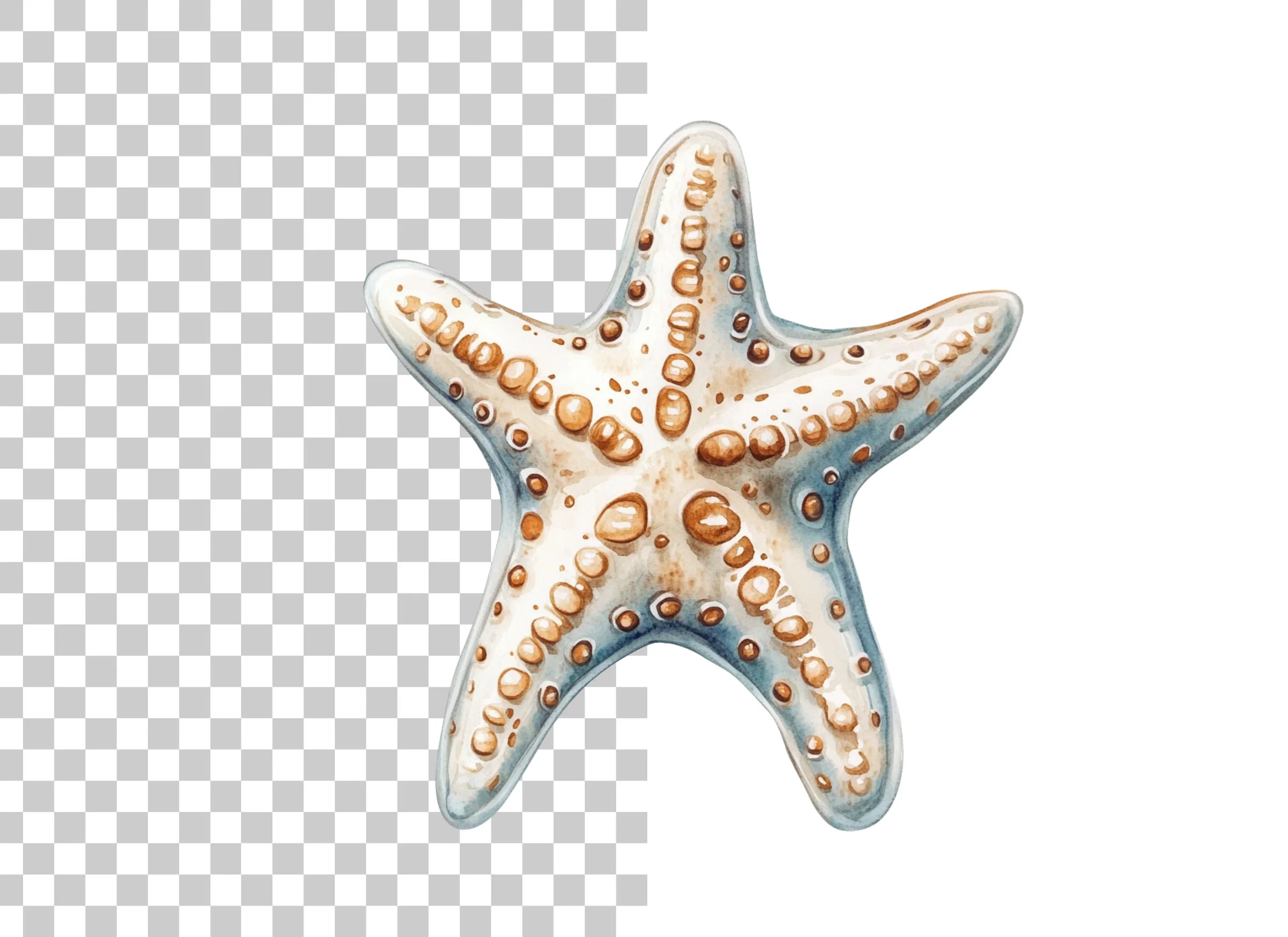 Starfish Clipart Bundle