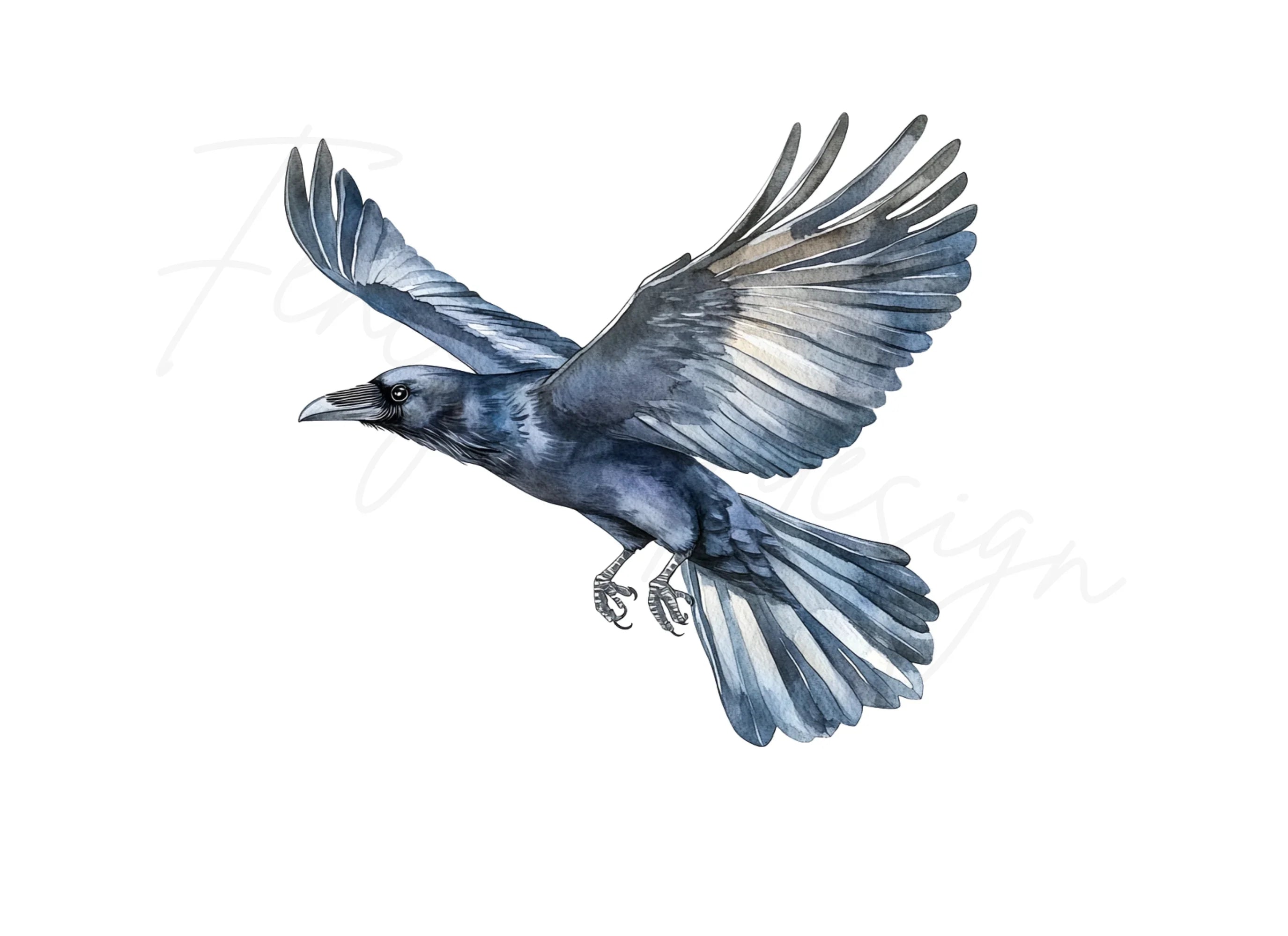 Flying Crows Clipart Bundle