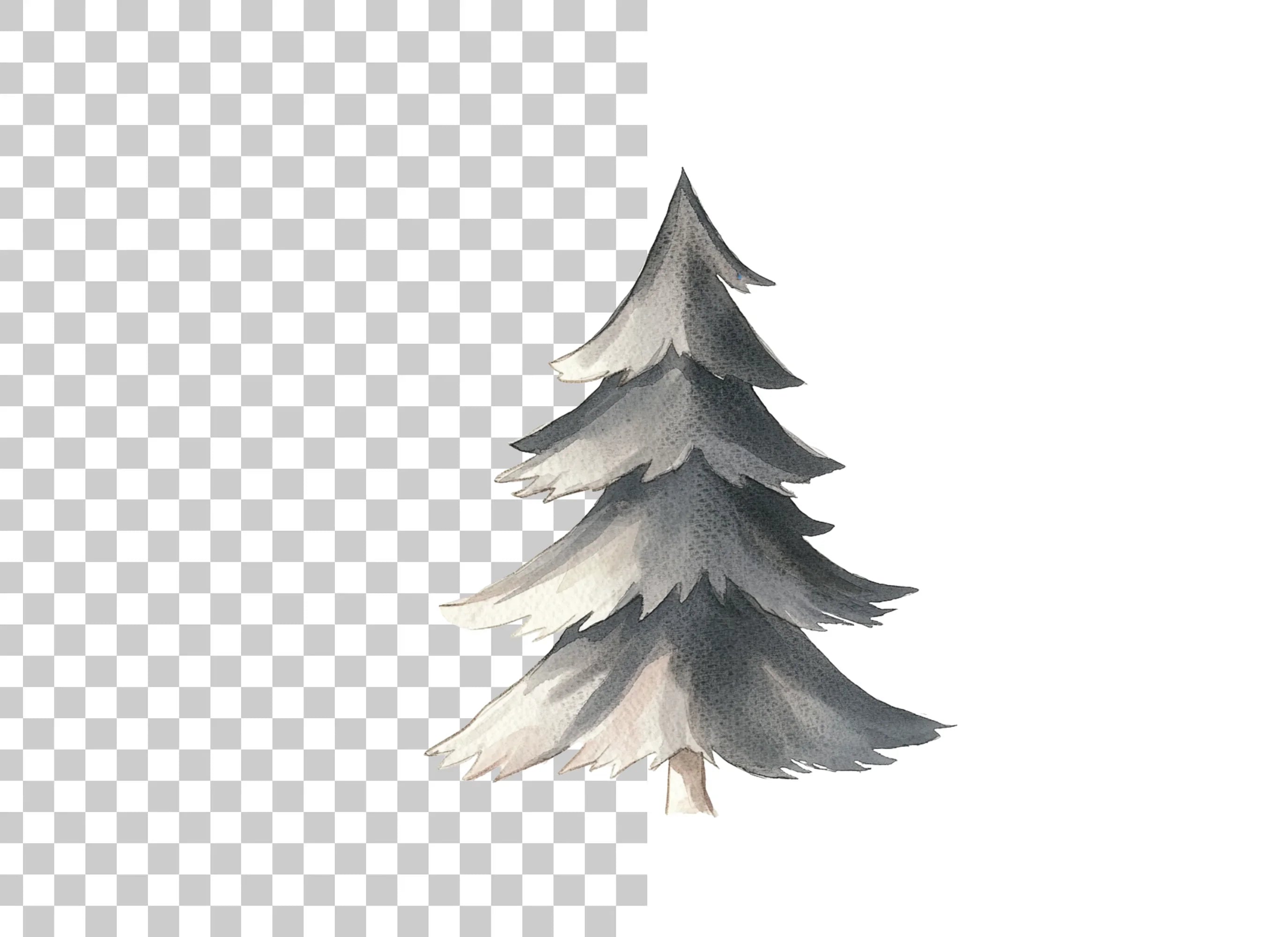 Winter Pine Tree Clipart Bundle