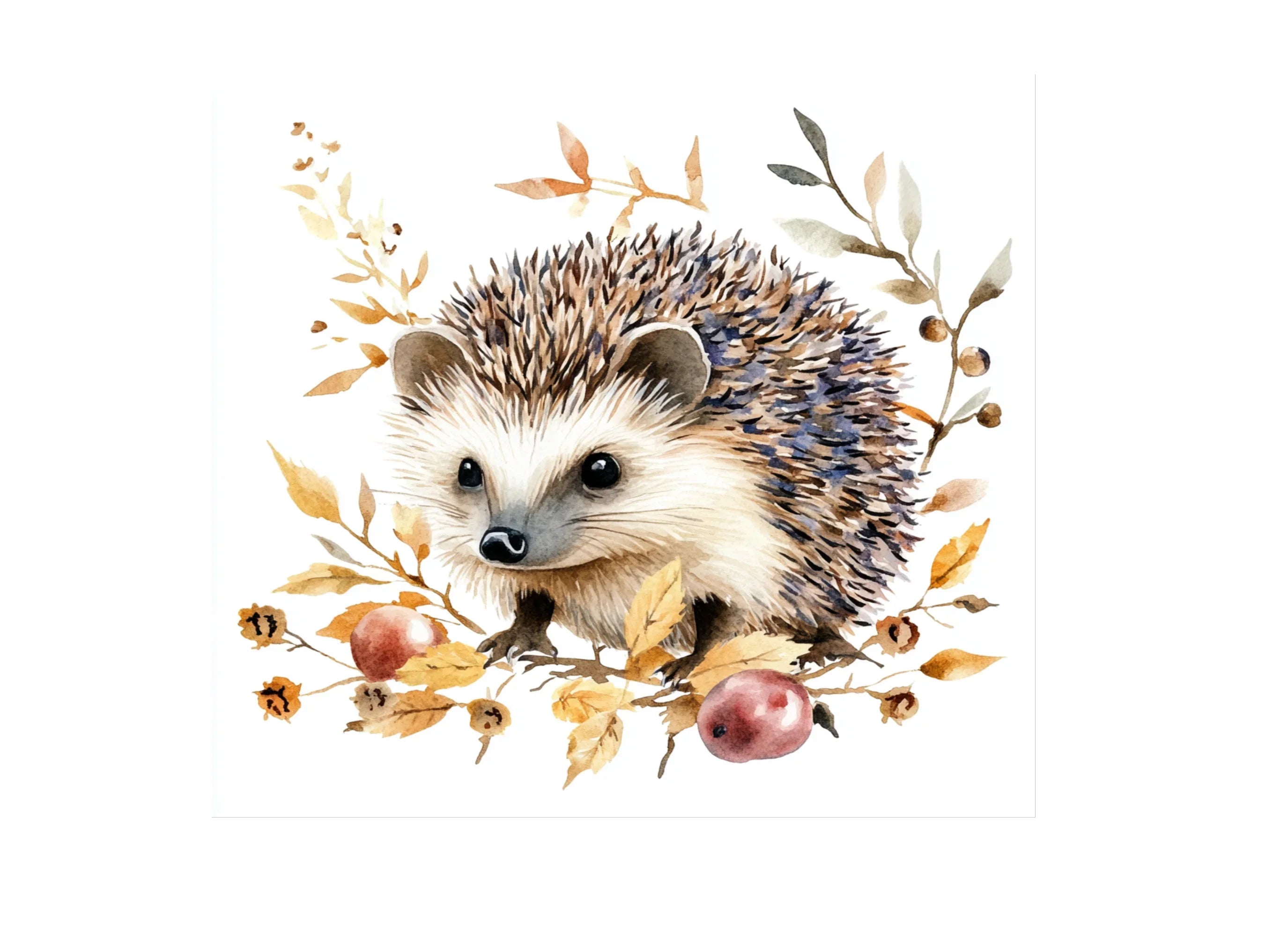 Cute Hedgehog Clipart Bundle