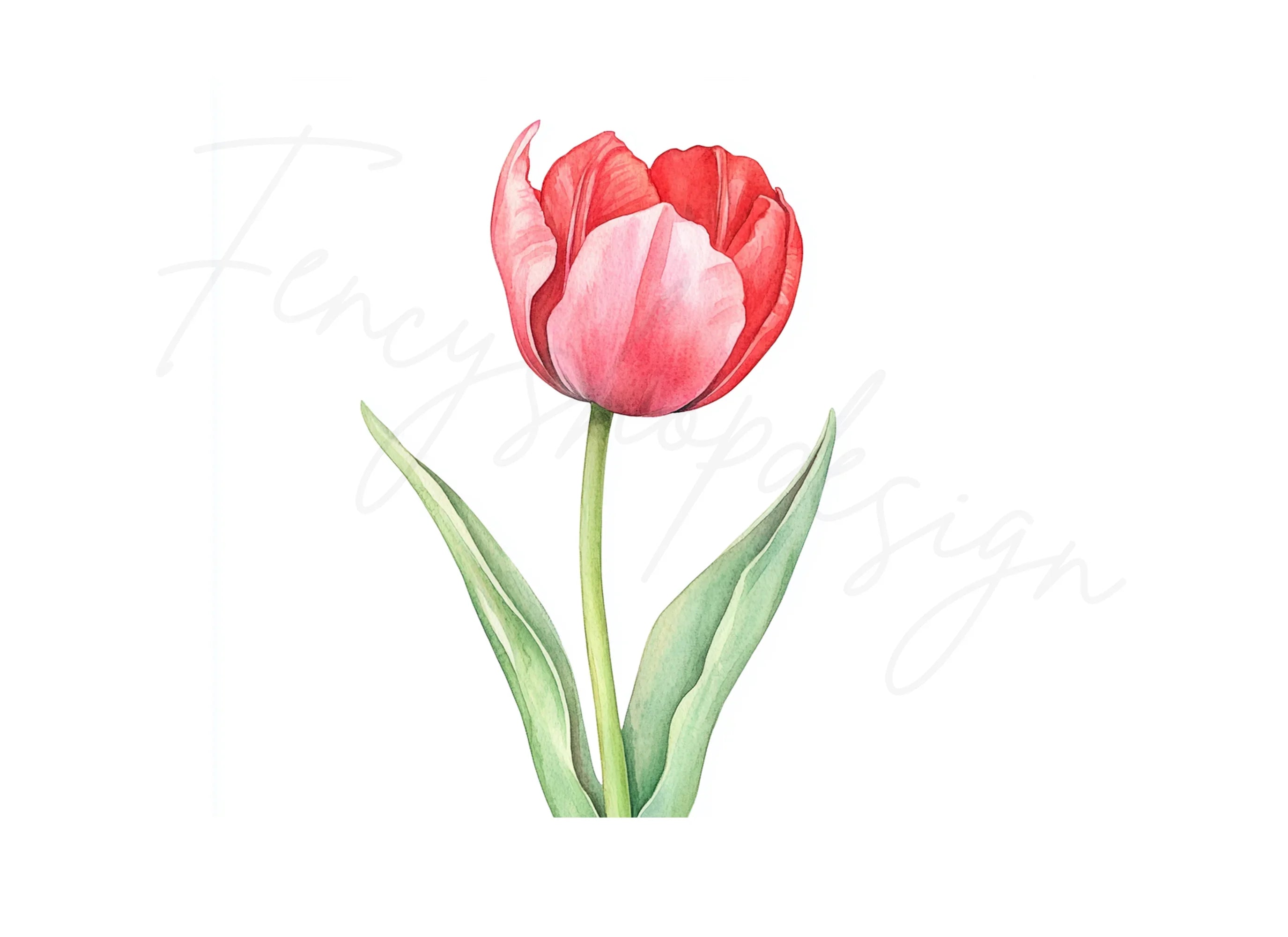 Vibrant Red Tulip Clipart Bundle