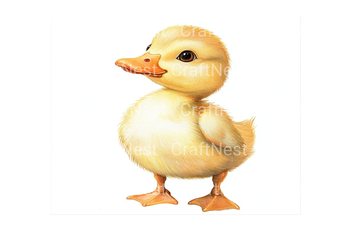 Playful Baby Duckling Characters Clipart Bundle