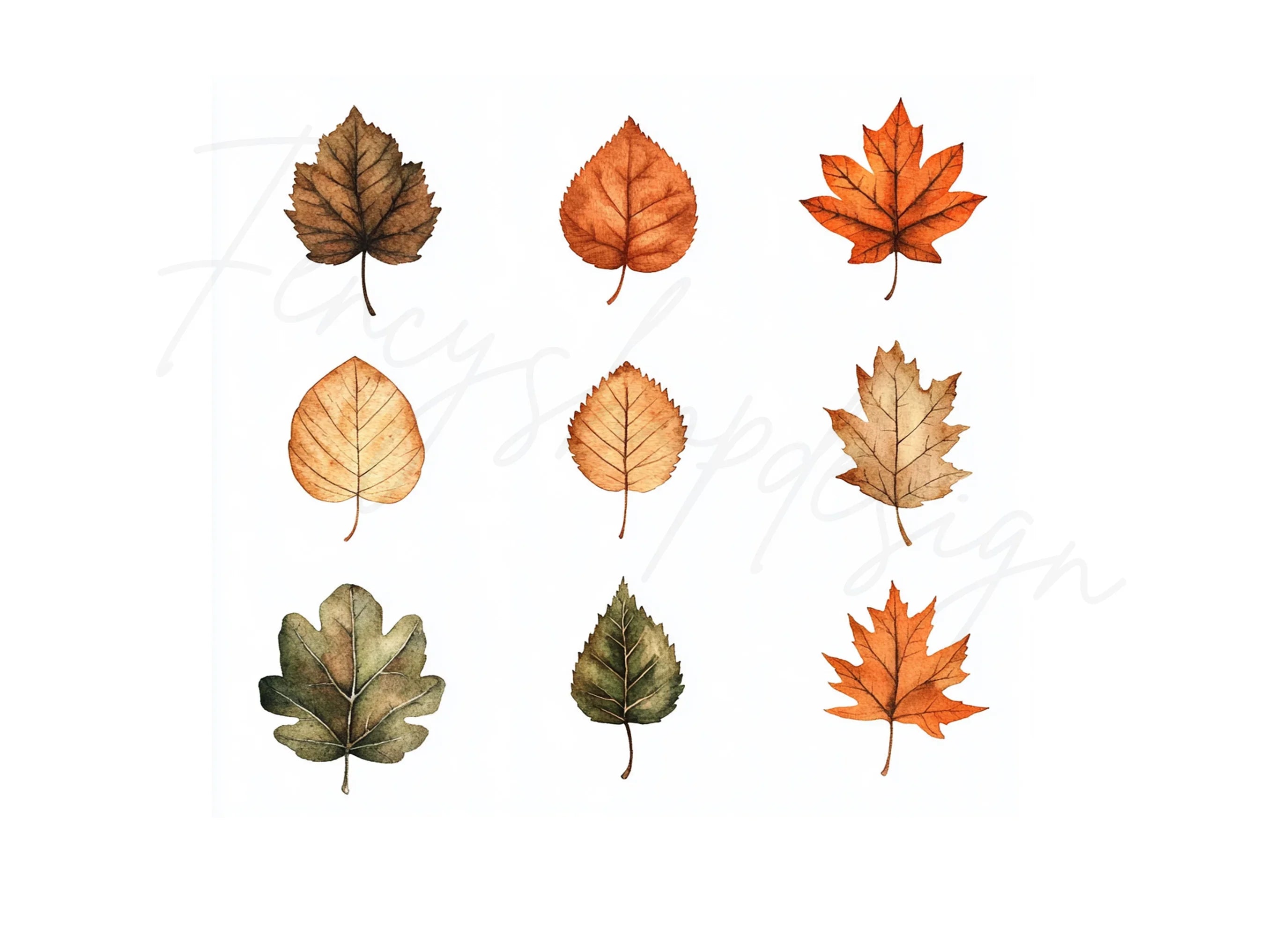 Autumn Leaves Clipart Bundle