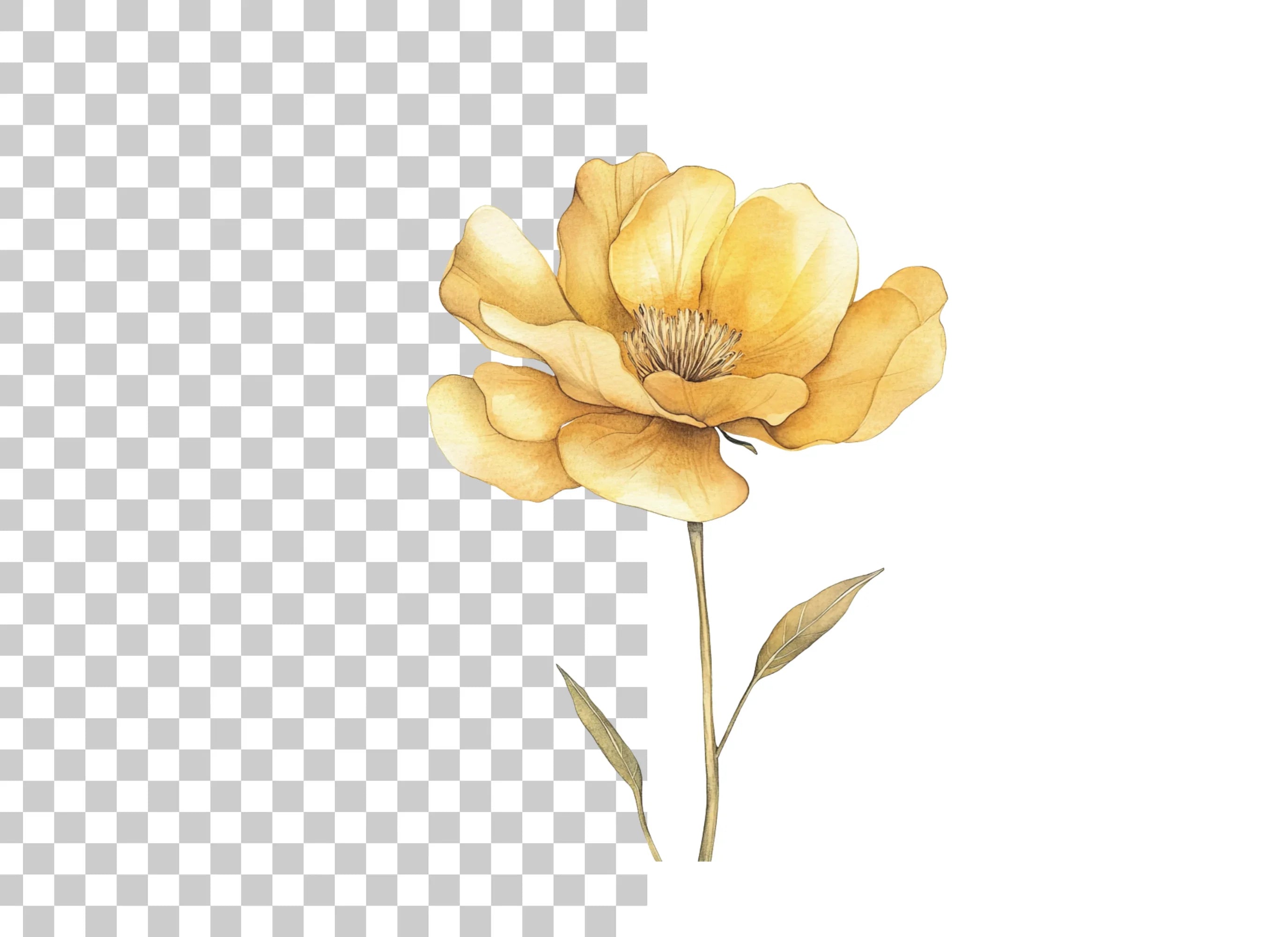 Elegant Yellow Flower with Stem Clipart Bundle