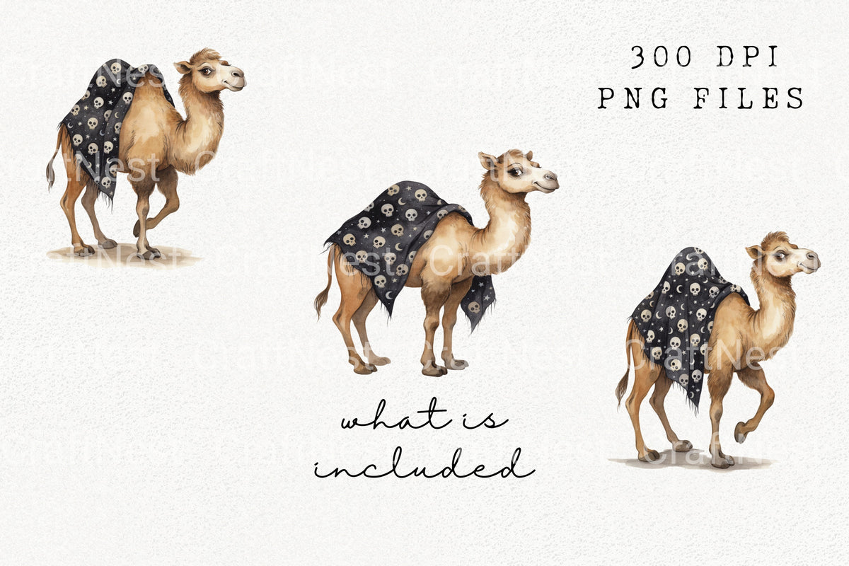 Playful Camel With Skull Blanket Clipart Bundle