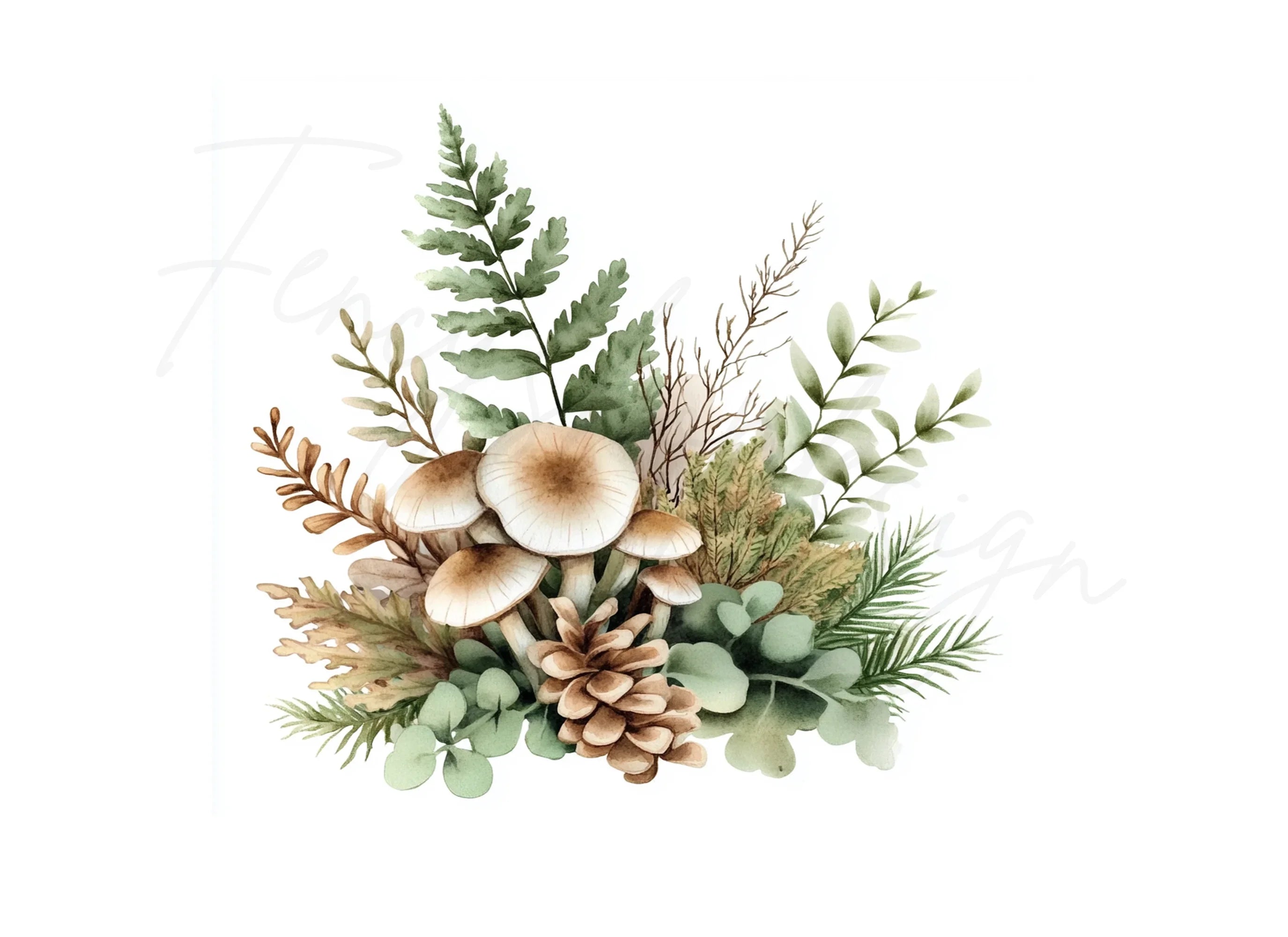 Forest Mushroom Clipart Bundle
