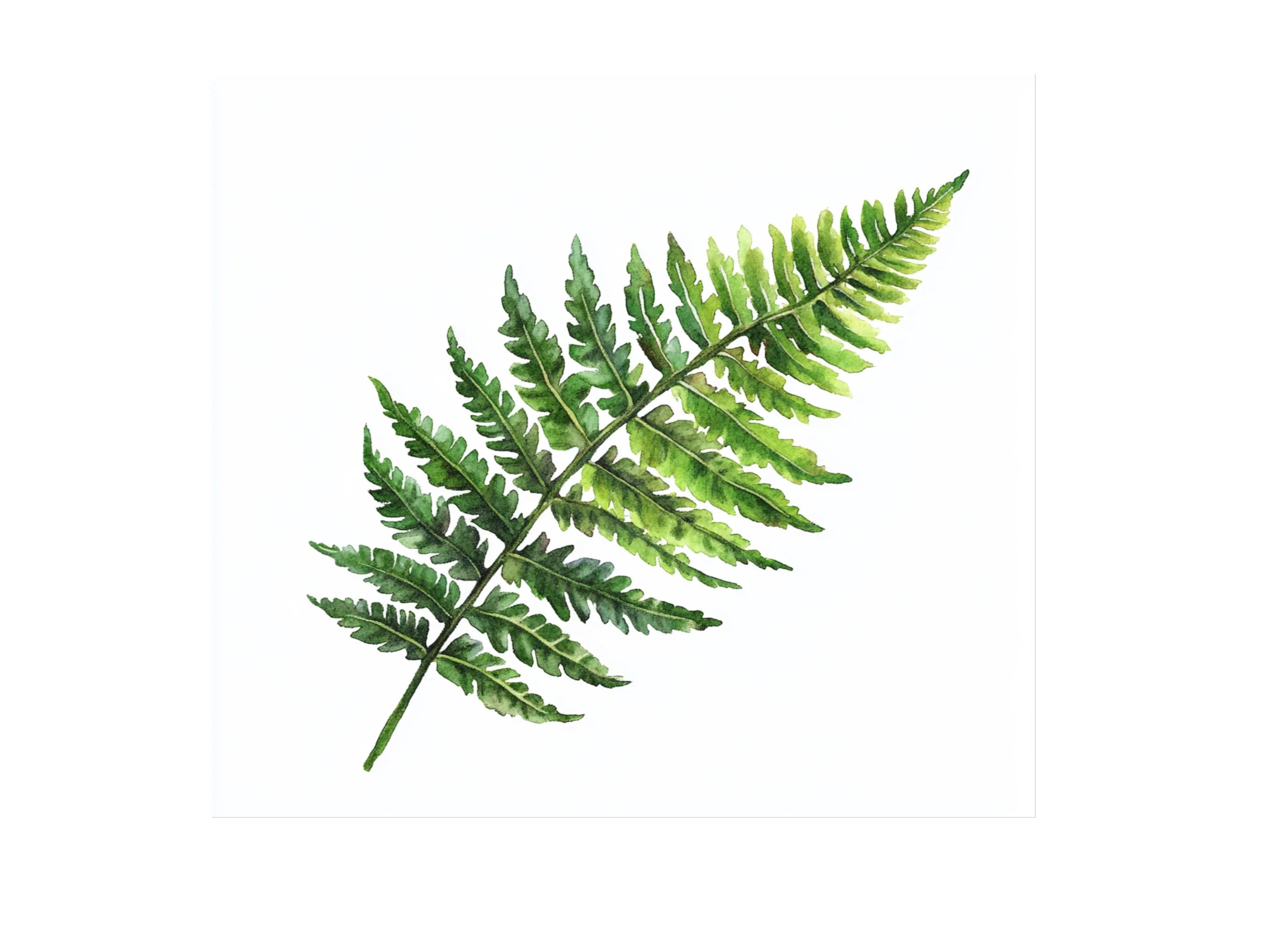 Green Fern Foliage Clipart Bundle