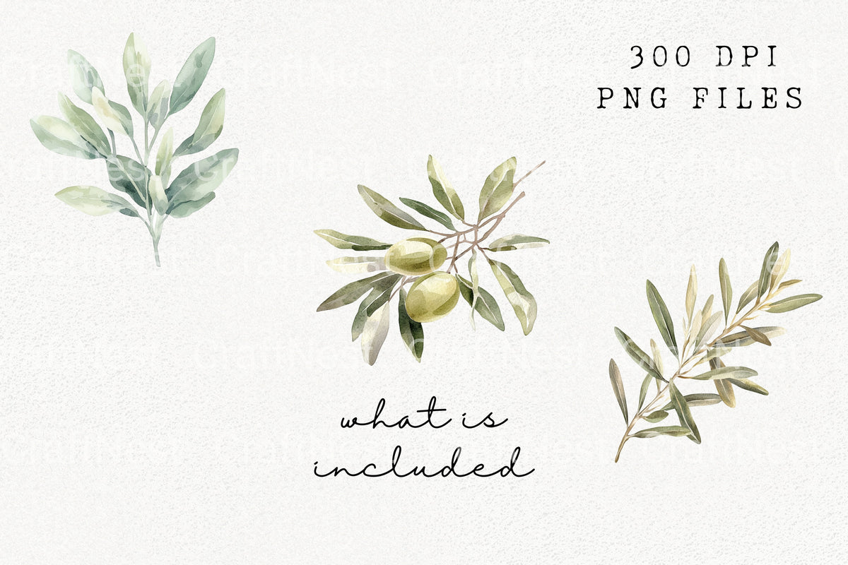 Olive Branch Clipart Bundle
