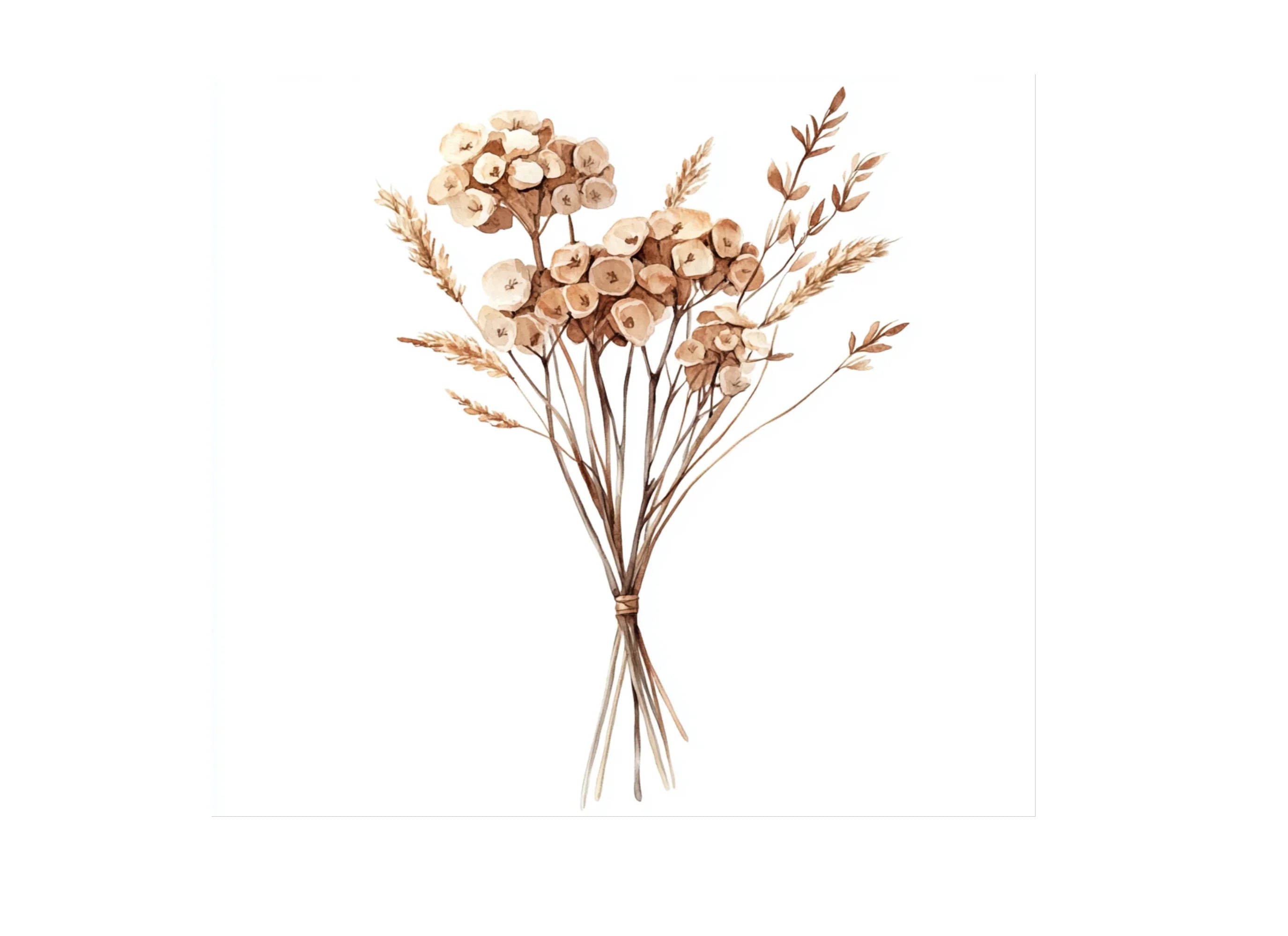 Dried Flower Bouquet Clipart Bundle