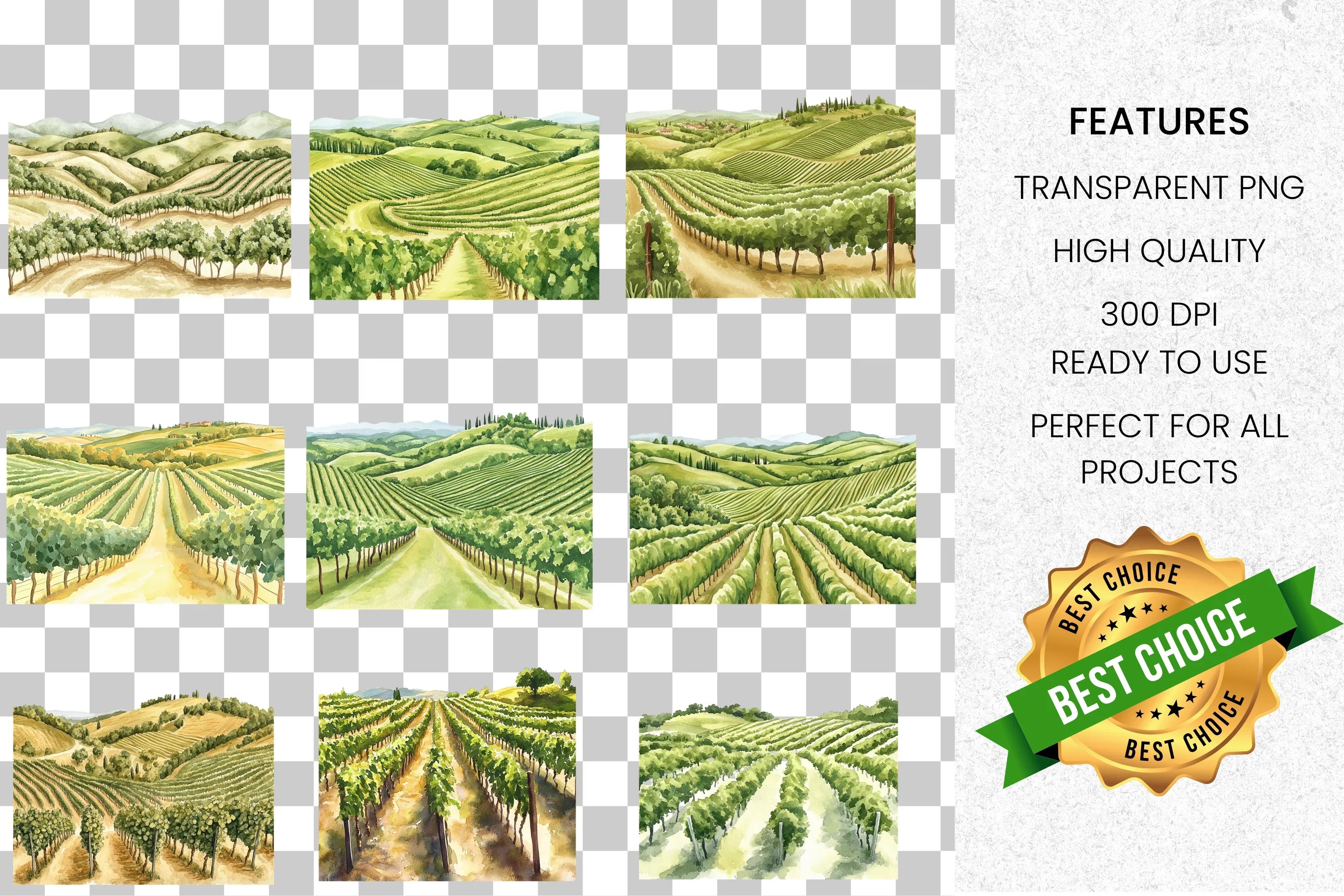 Vineyard Landscape Clipart Bundle