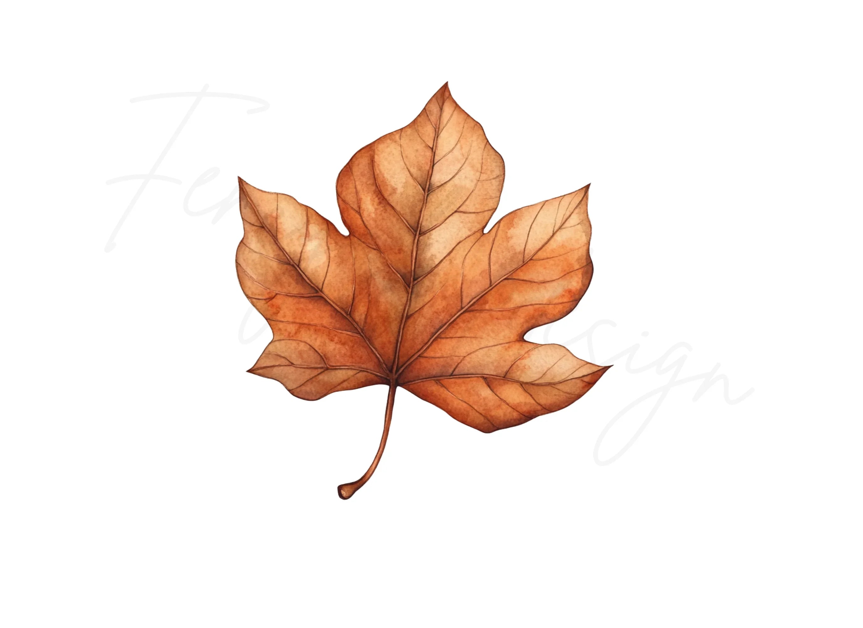 Rustic Brown Autumn Leaves Clipart Bundle