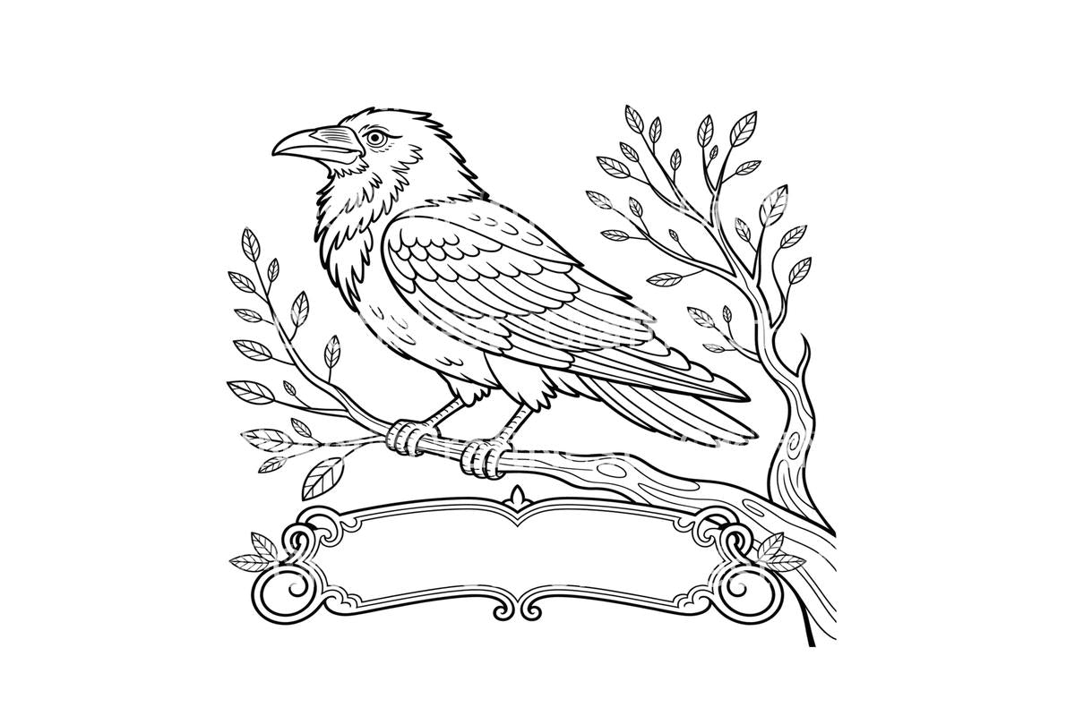 Raven and Crow Coloring Books