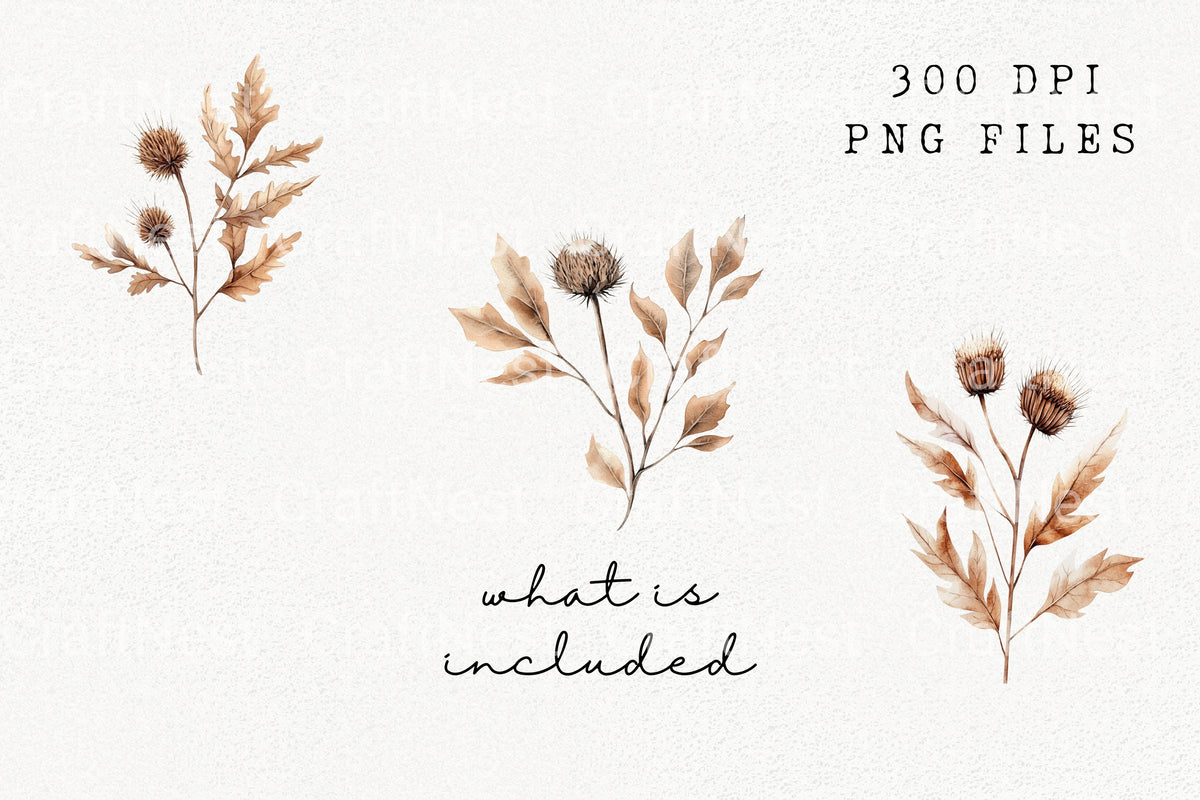 Autumn Thistle And Leaves Series Clipart Bundle