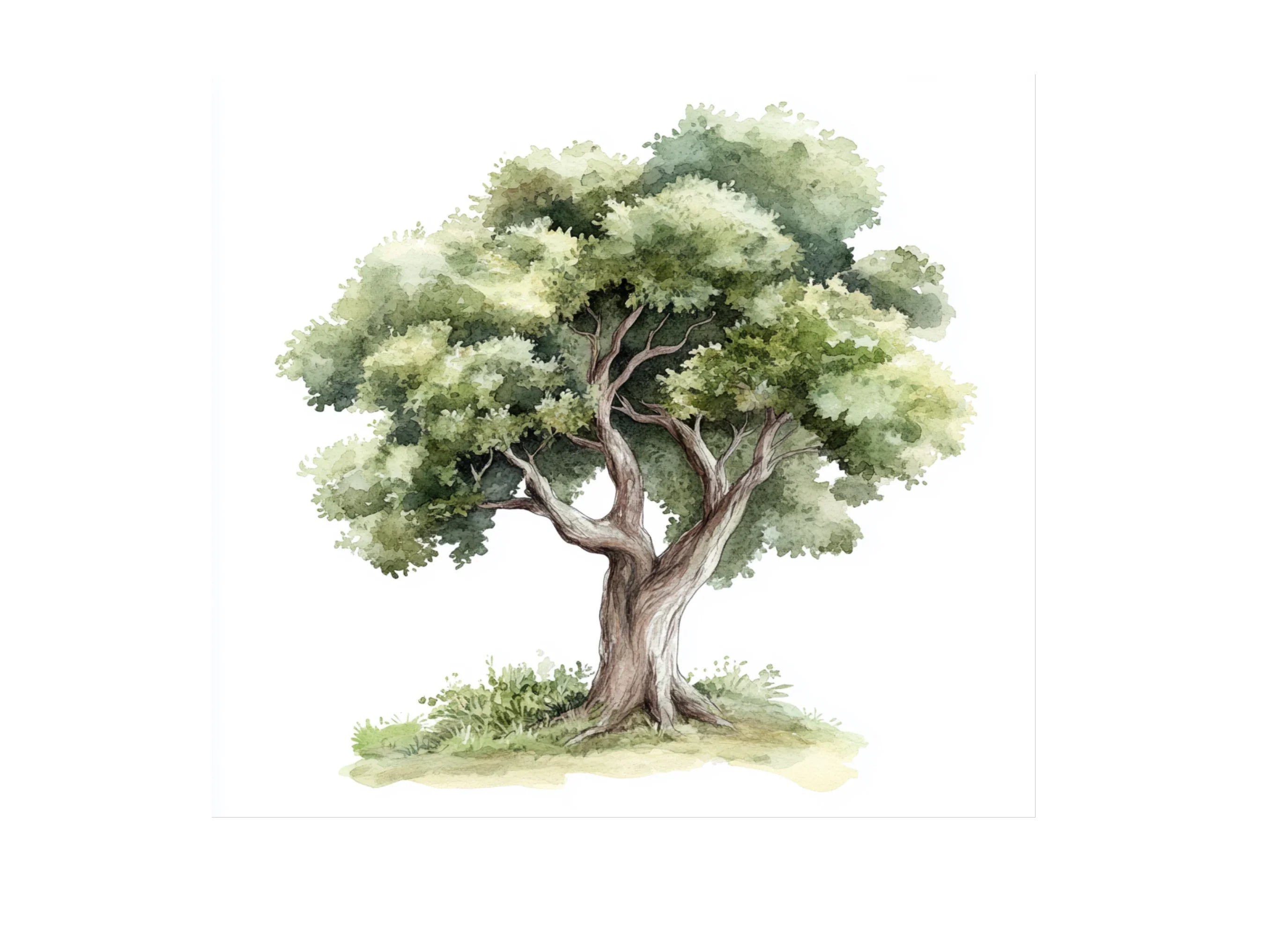 Fantasy Tree Clipart Bundle