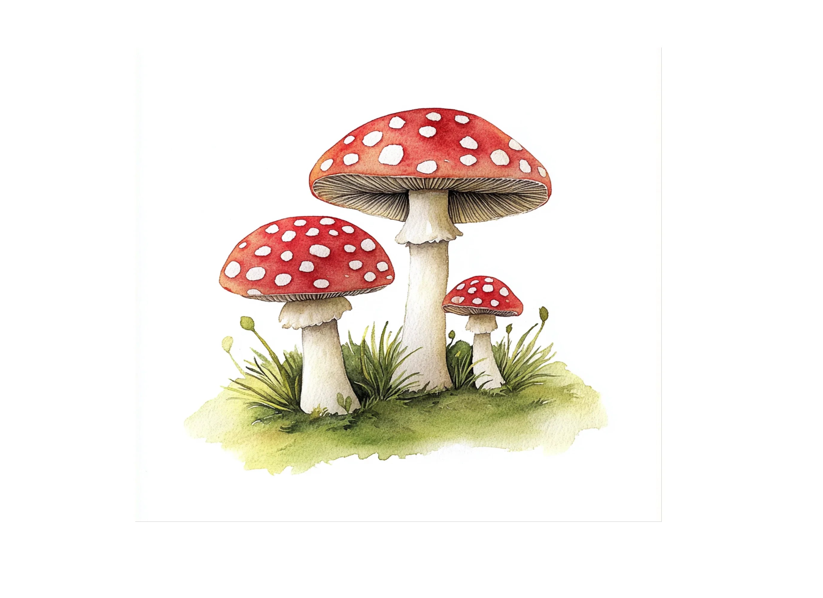 Red Mushroom Clipart Bundle