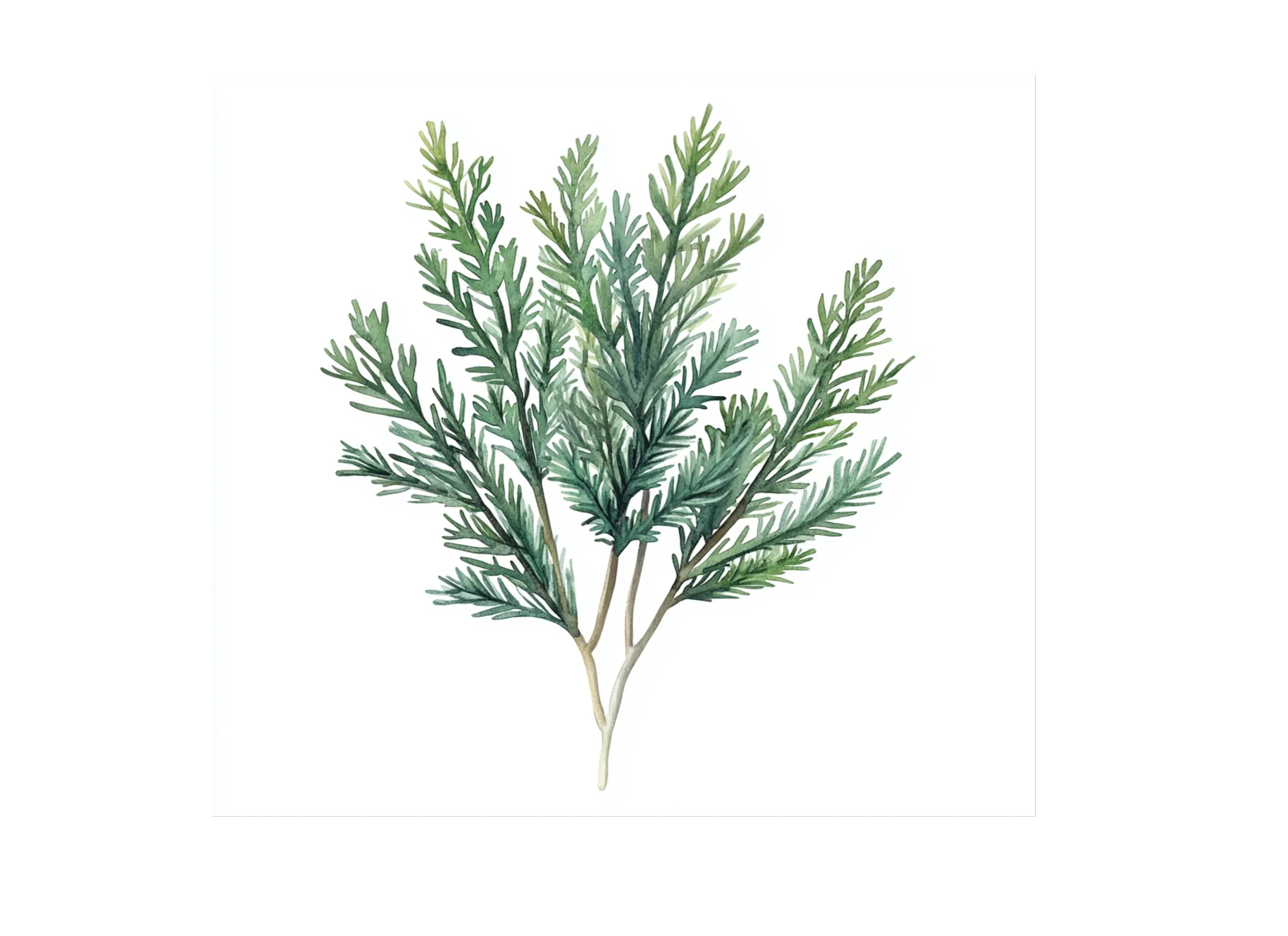 Greenery Branches Clipart Bundle