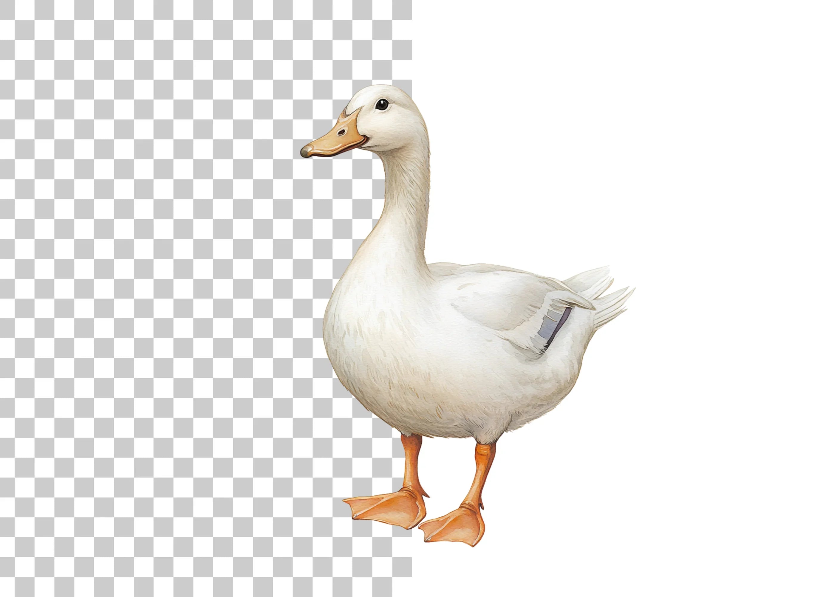White Duck Clipart Bundle