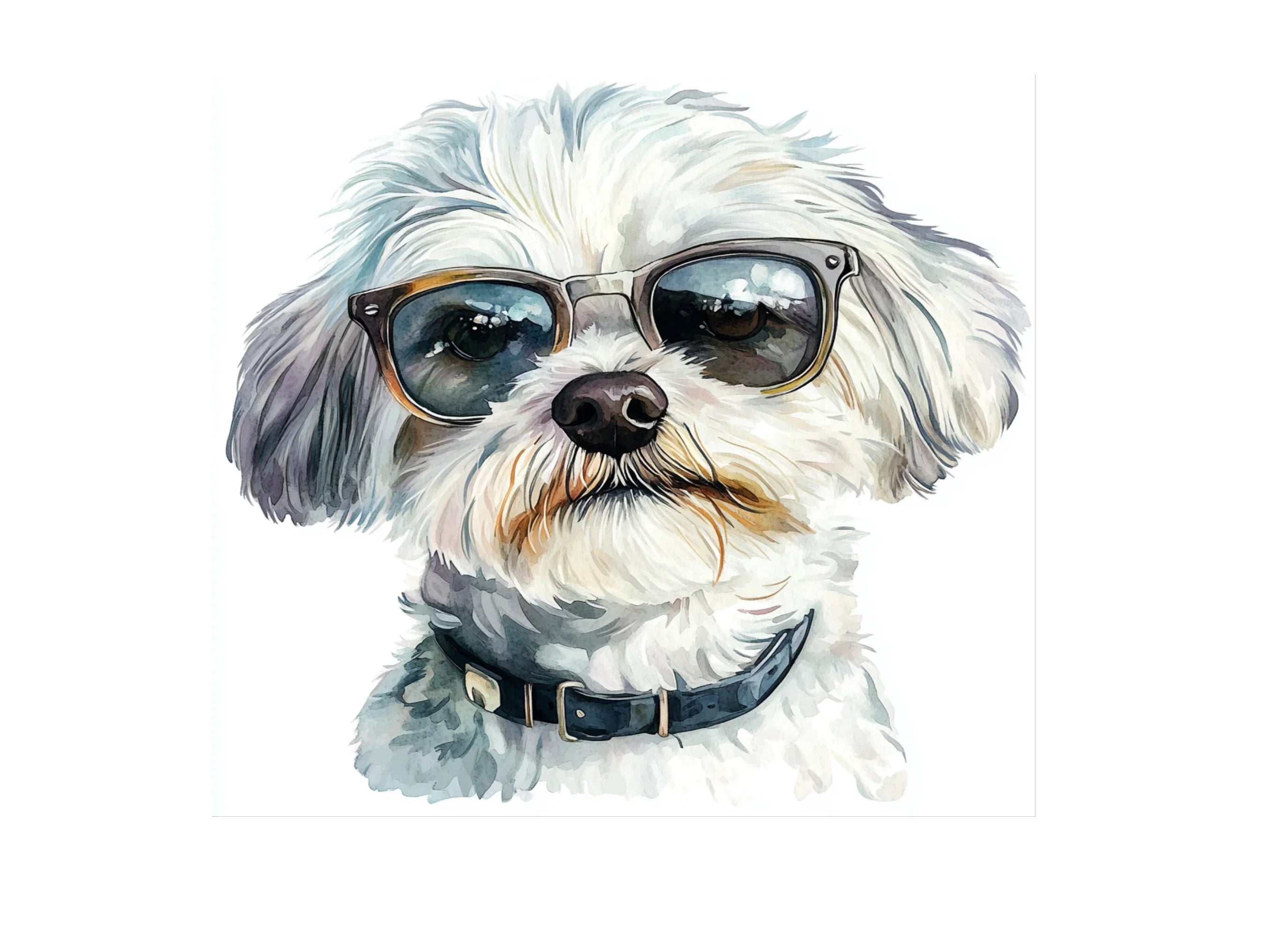 Cool Maltese Dog With Sunglasses Clipart Bundle