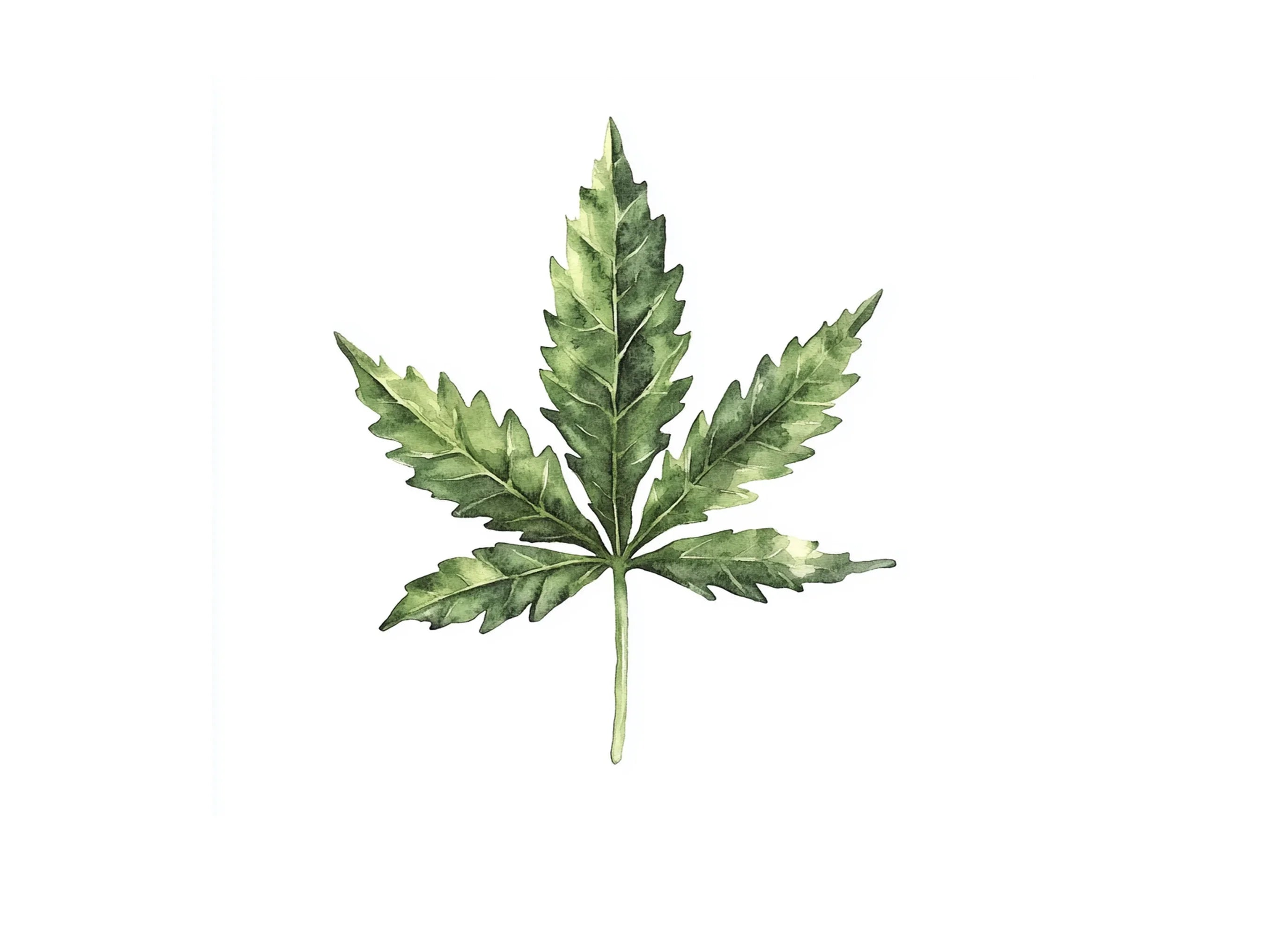 Green Marijuana Leaf Clipart Bundle