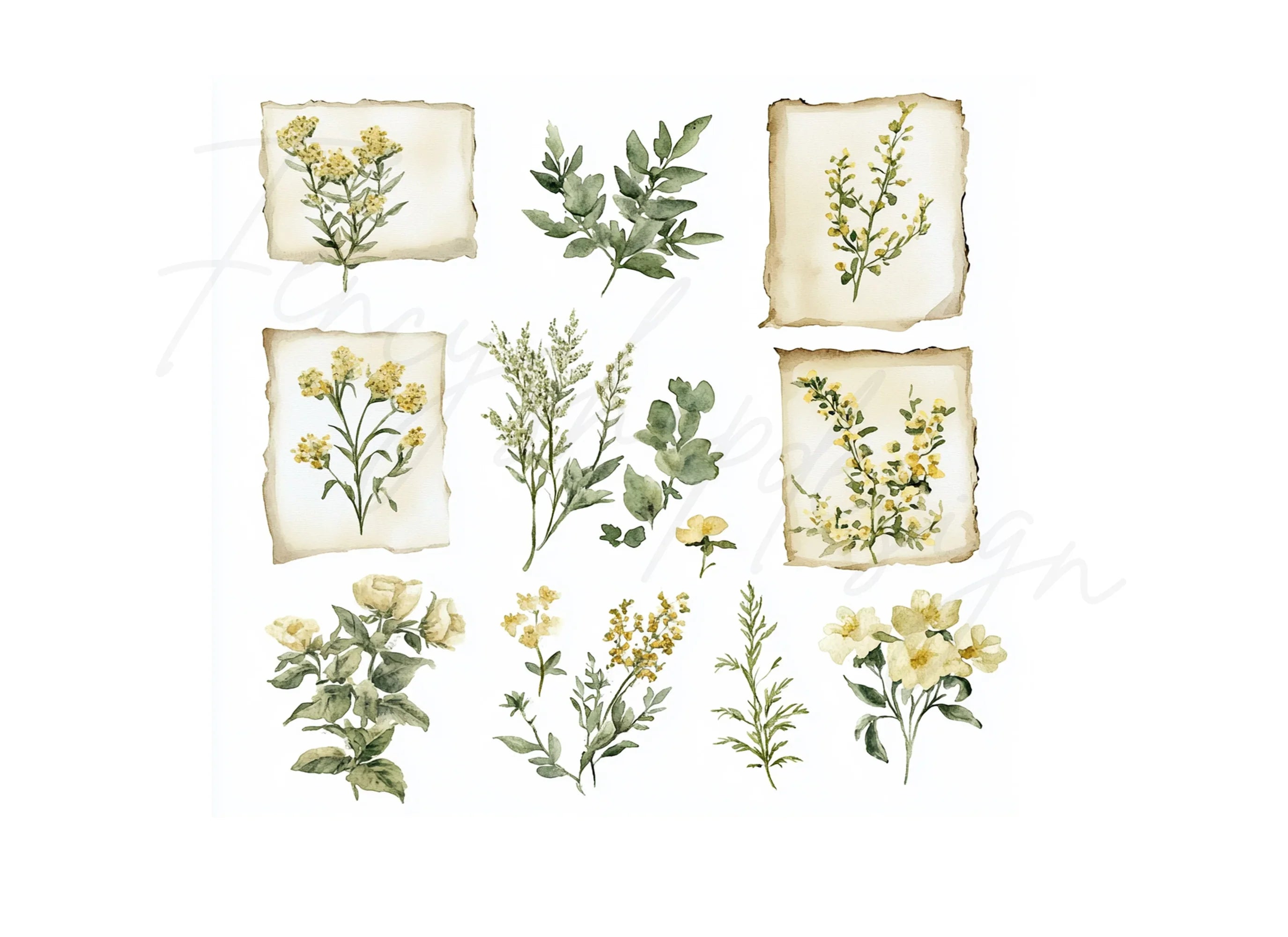 Wildflower Botanical Clipart Bundle