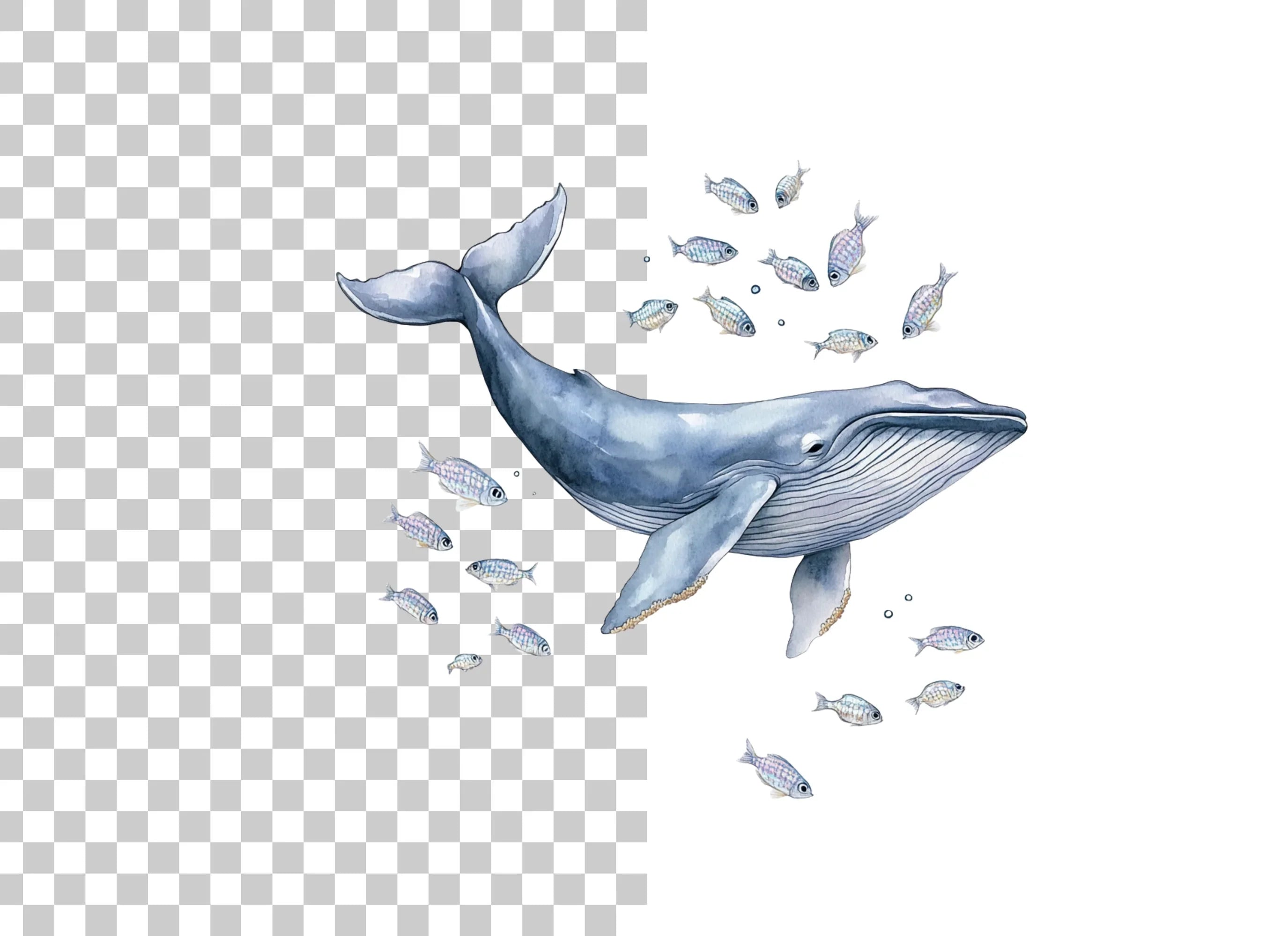 Blue Whale and Fish Ocean Clipart Bundle