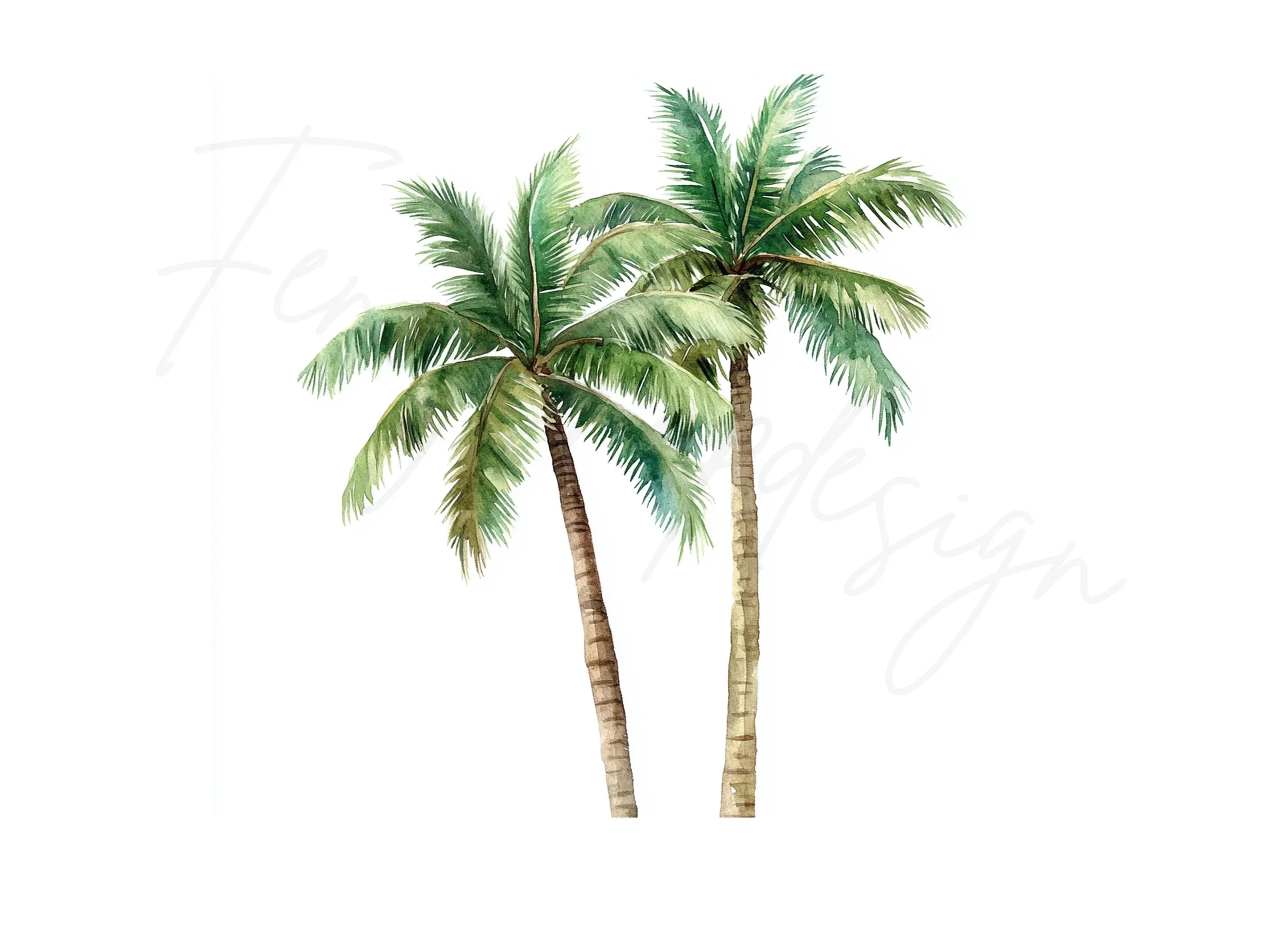 Palm Trees Clipart Bundle
