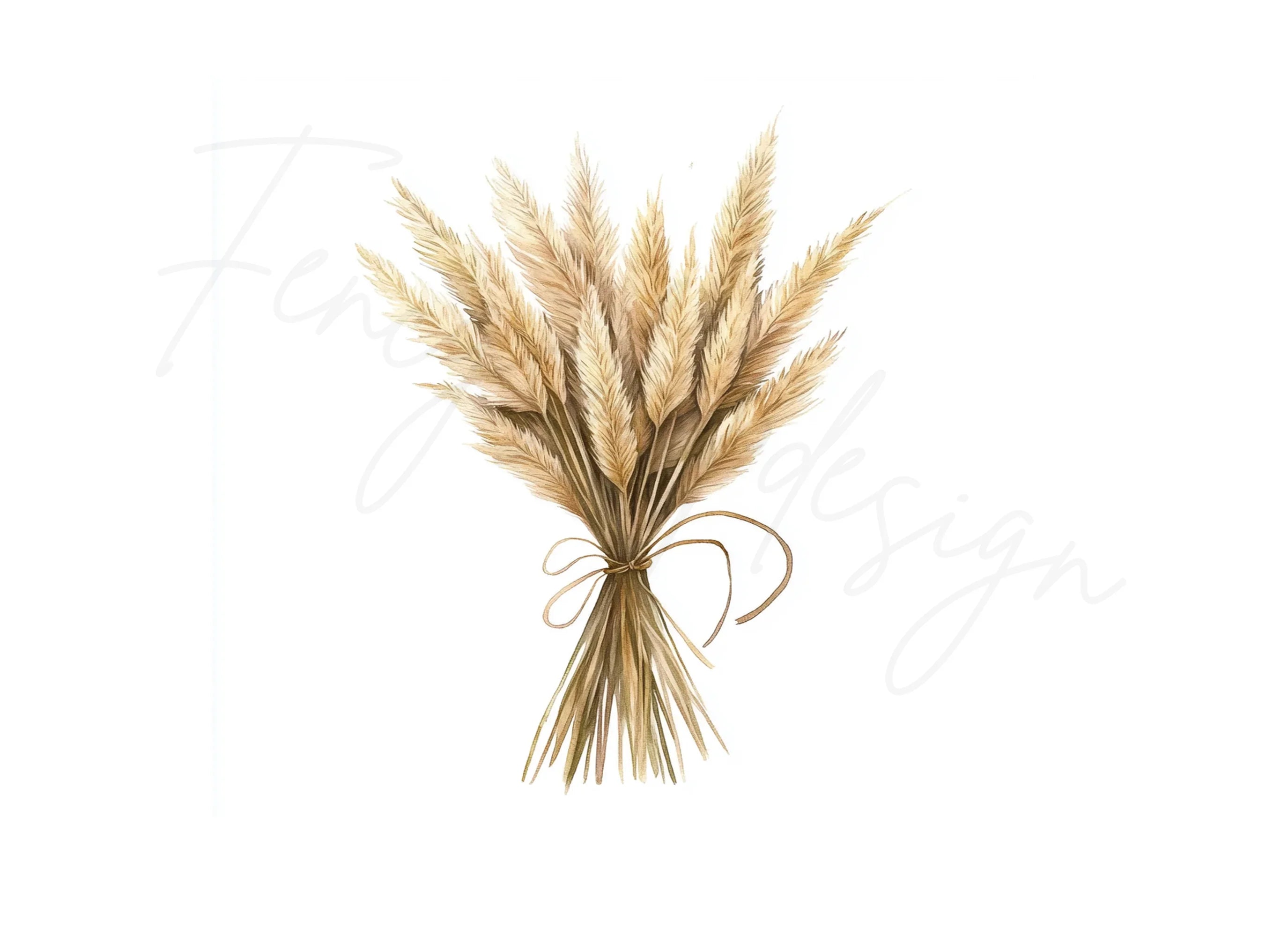 Pampas Grass Bouquets Clipart Bundle