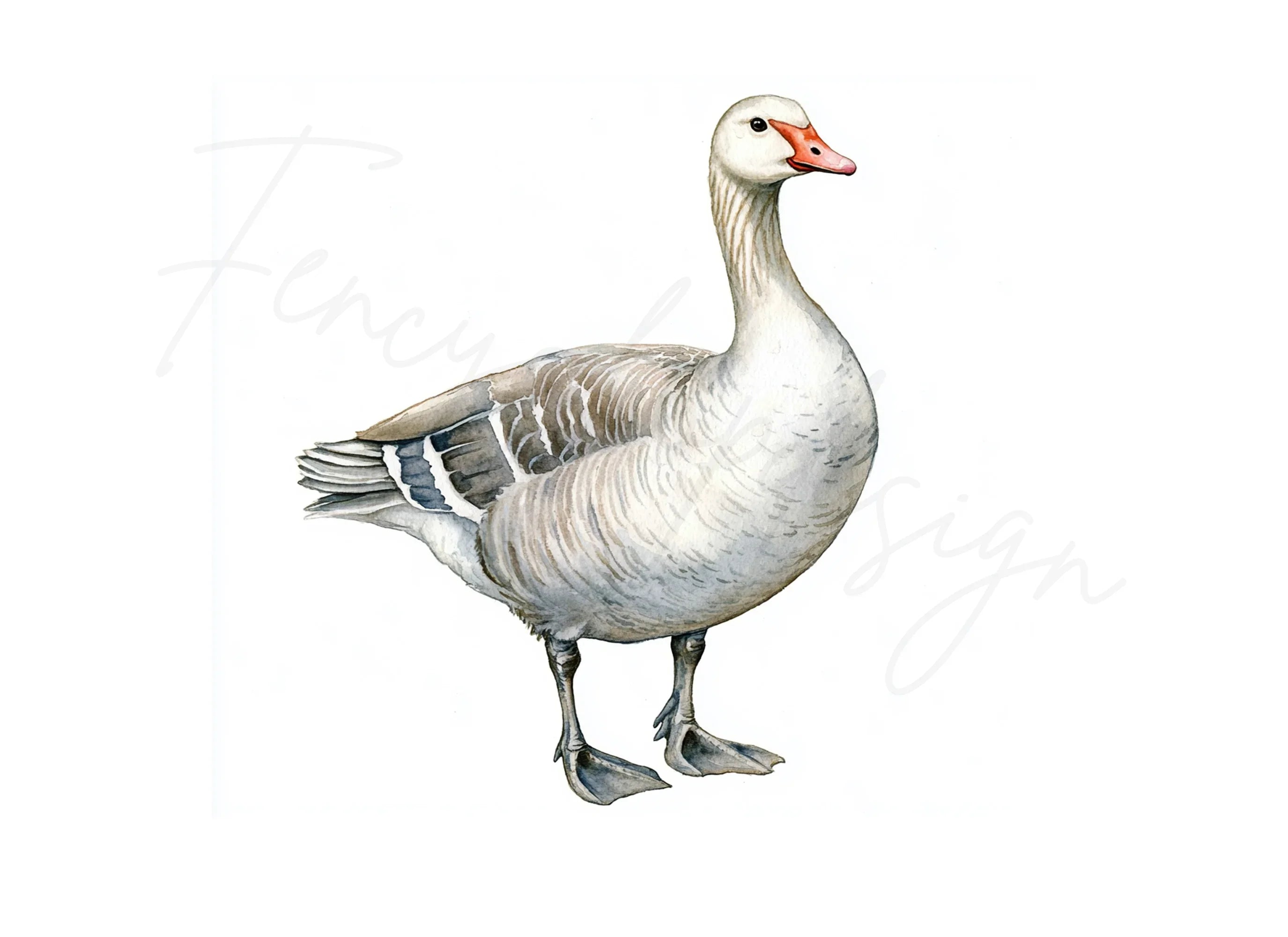 Geese Clipart Bundle