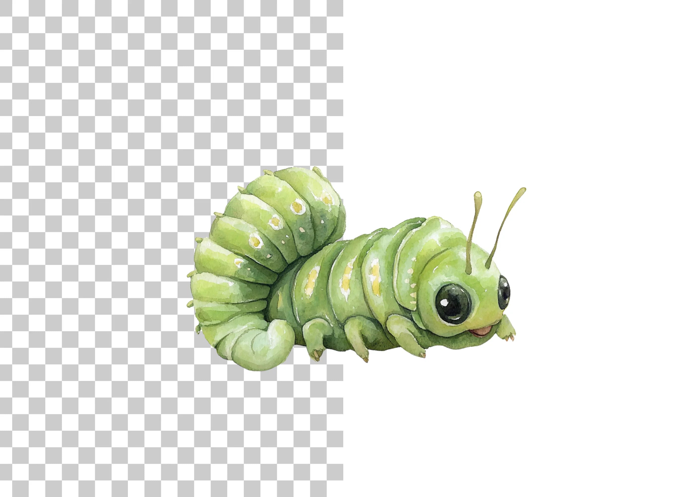 Cute Green Caterpillar Clipart Bundle