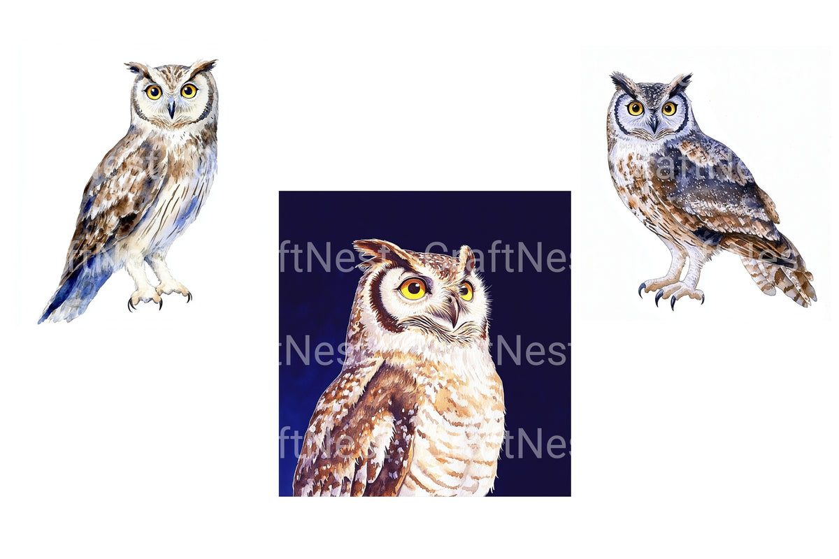 Majestic Owl Clipart Bundle