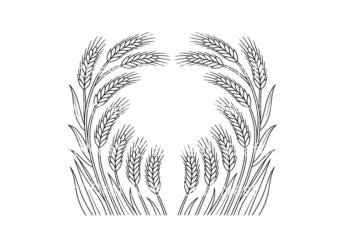 Wheat Ears Harvest Coloring Books
