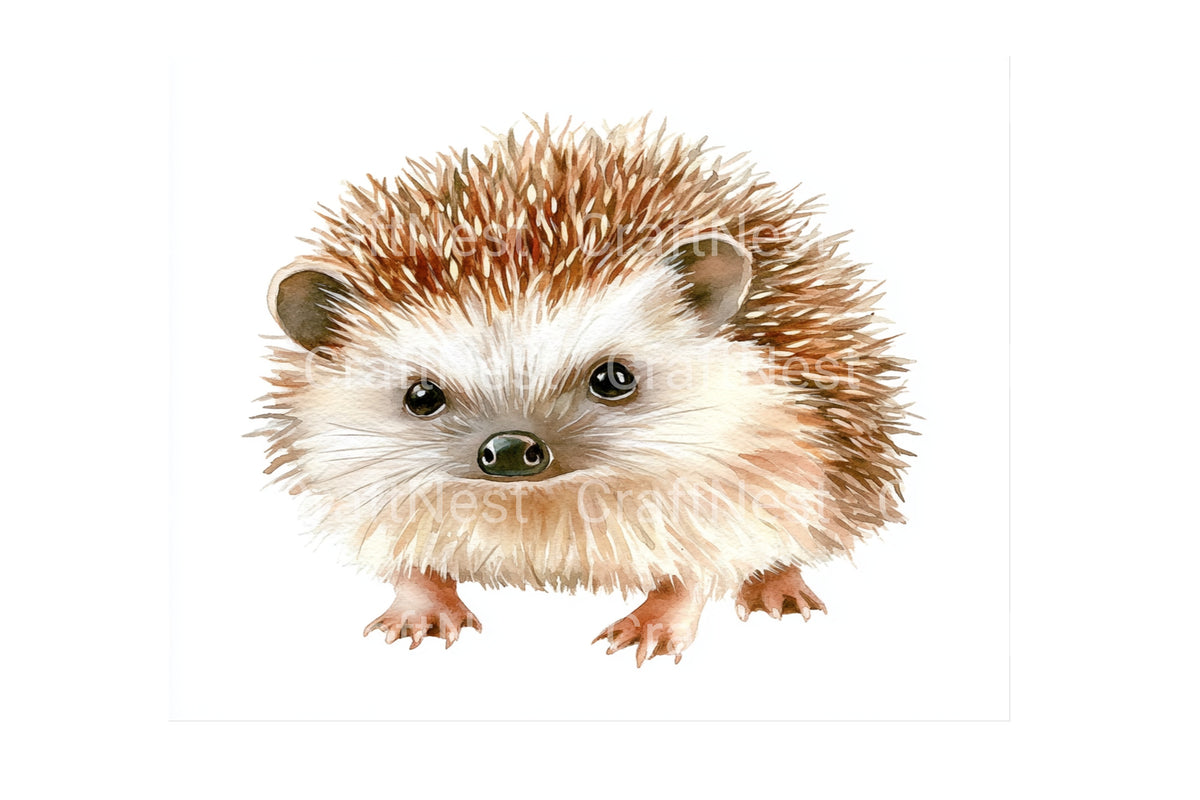 Adorable Hedgehogs Creations Clipart Bundle