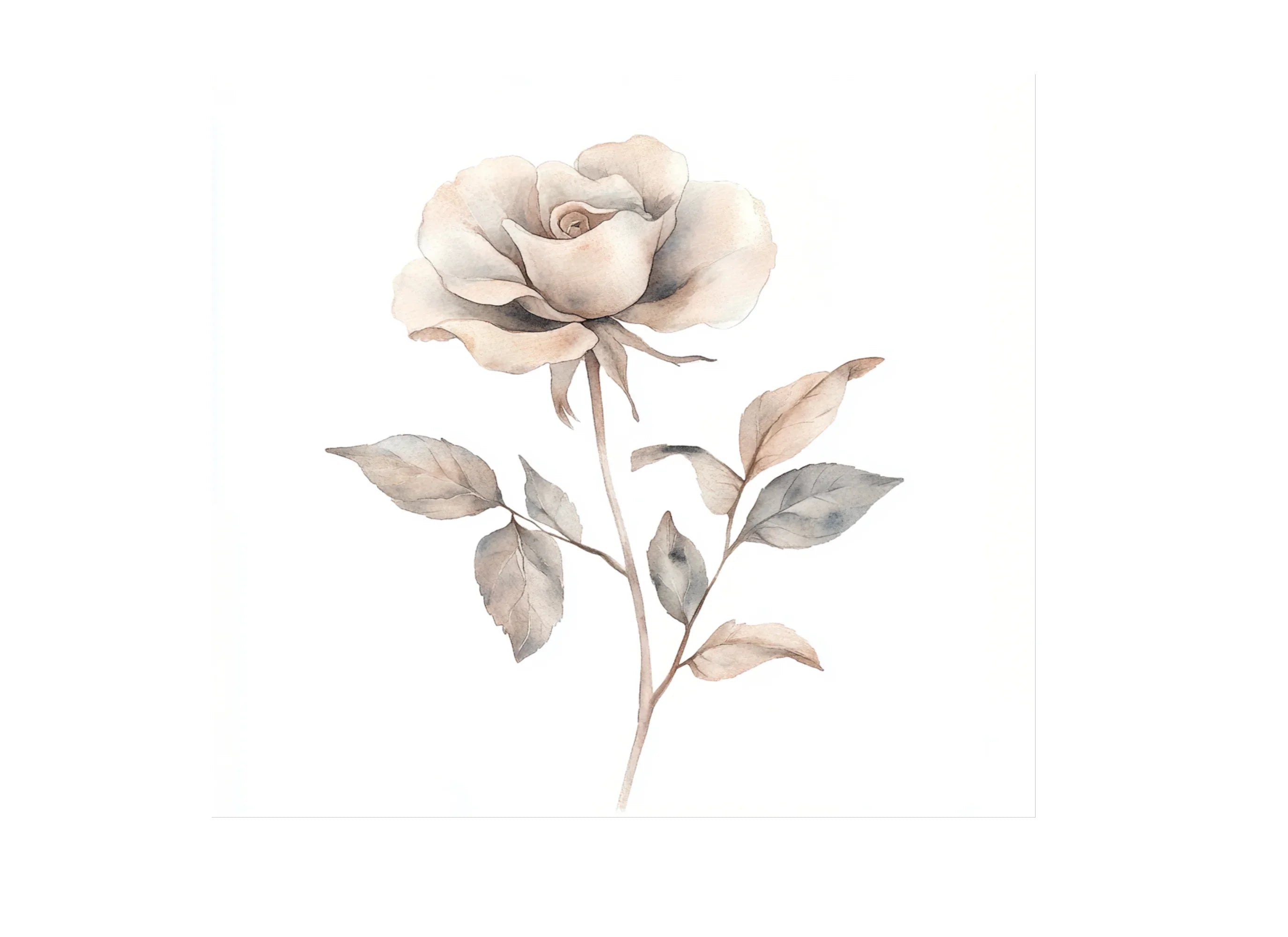 Rose Clipart Bundle