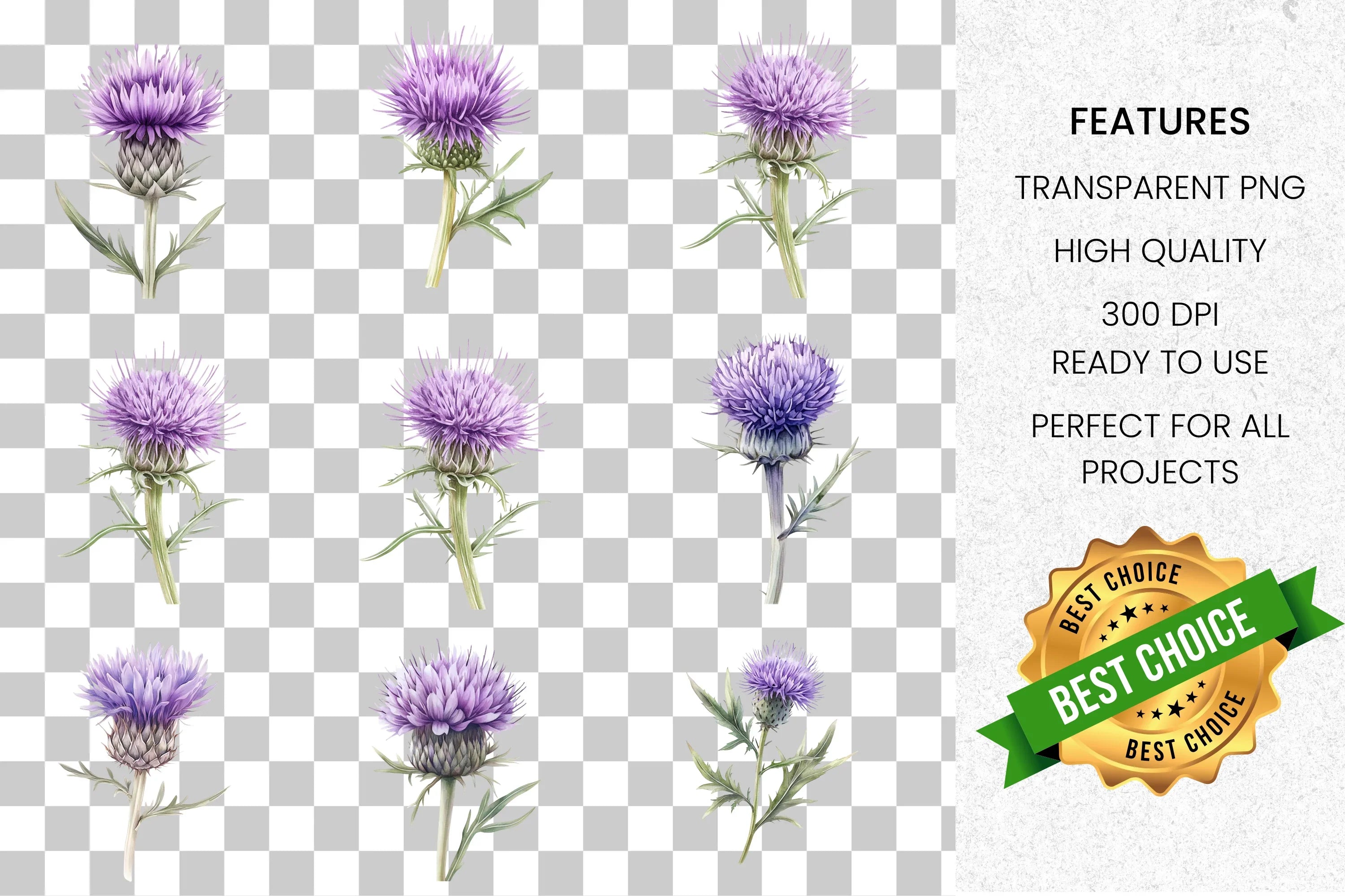 Scottish Thistle Clipart Bundle