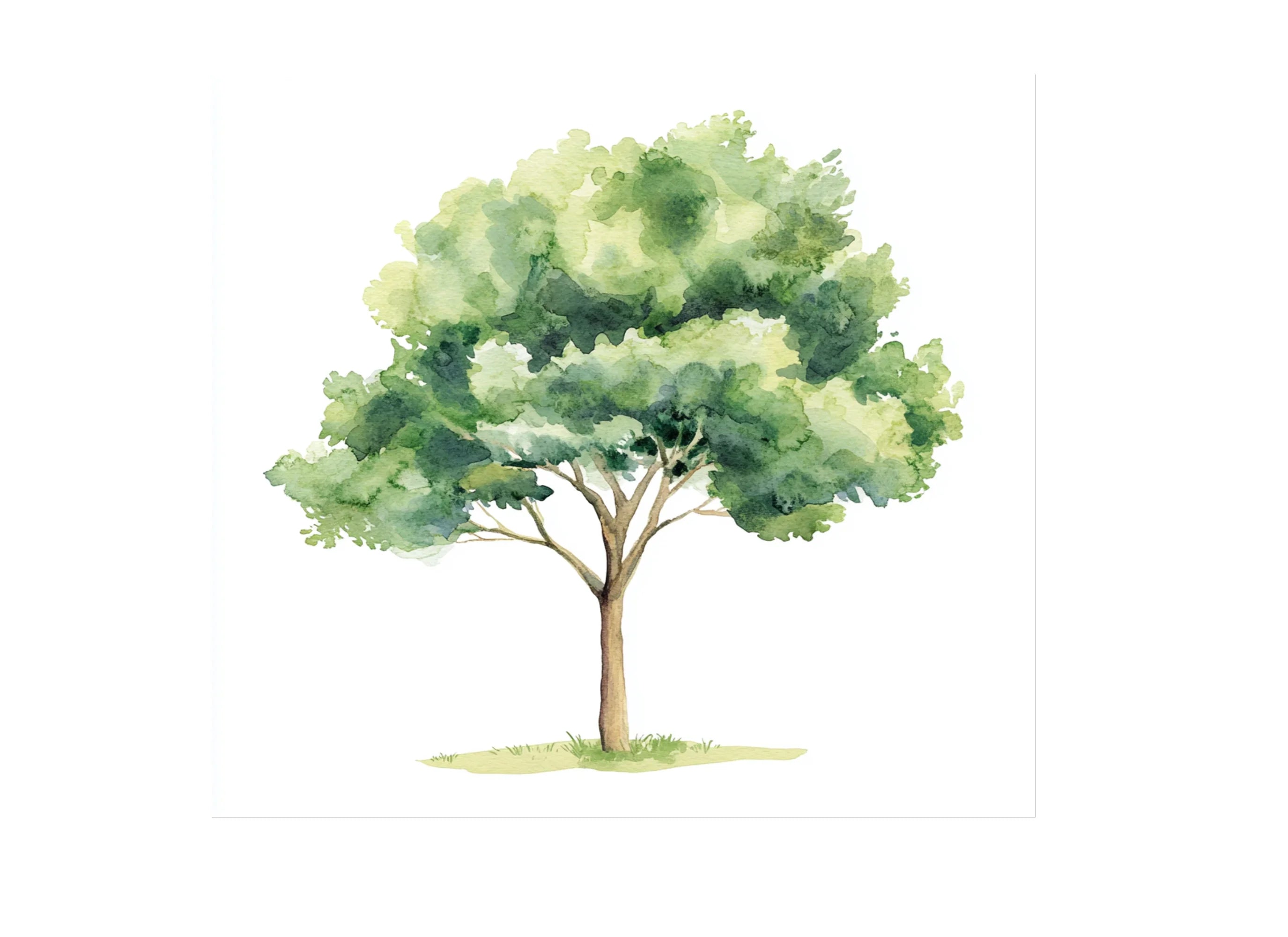 Green Trees Clipart Bundle
