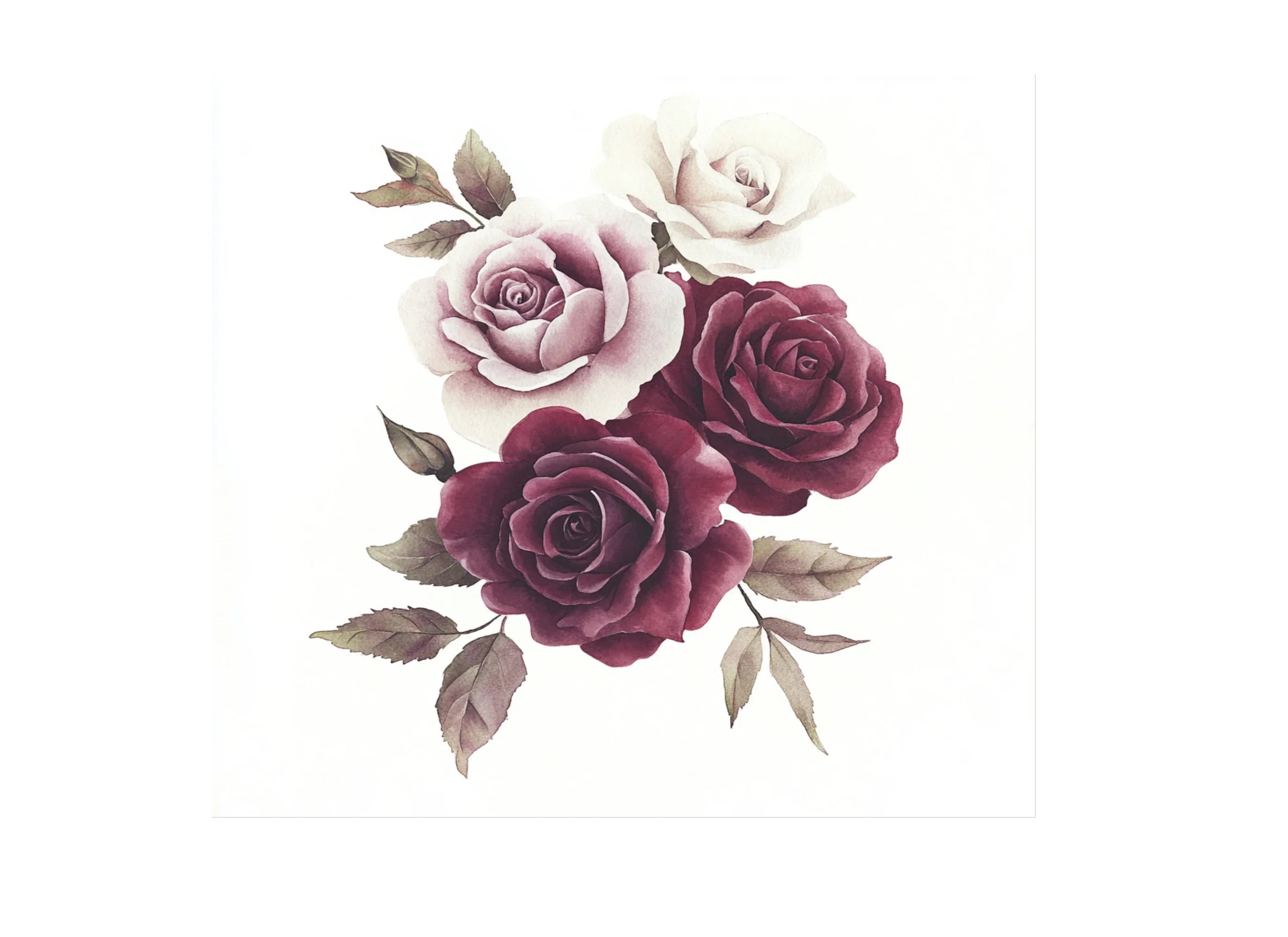 Elegant Burgundy Cream Rose Clipart Bundle