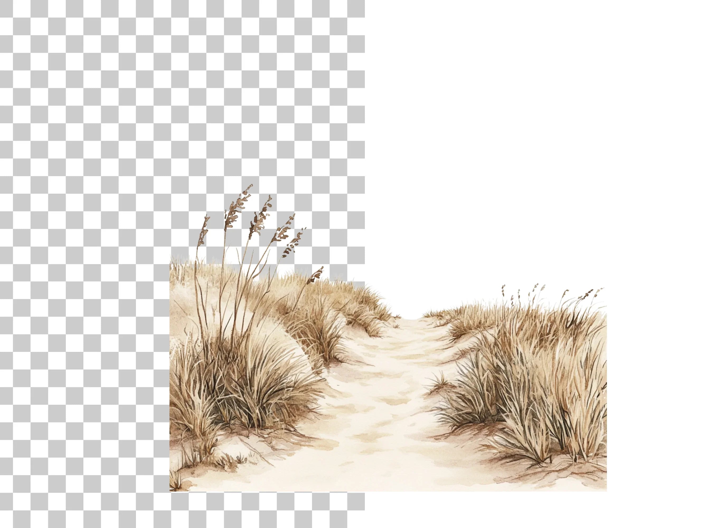 Beach Dune Grass Clipart Bundle