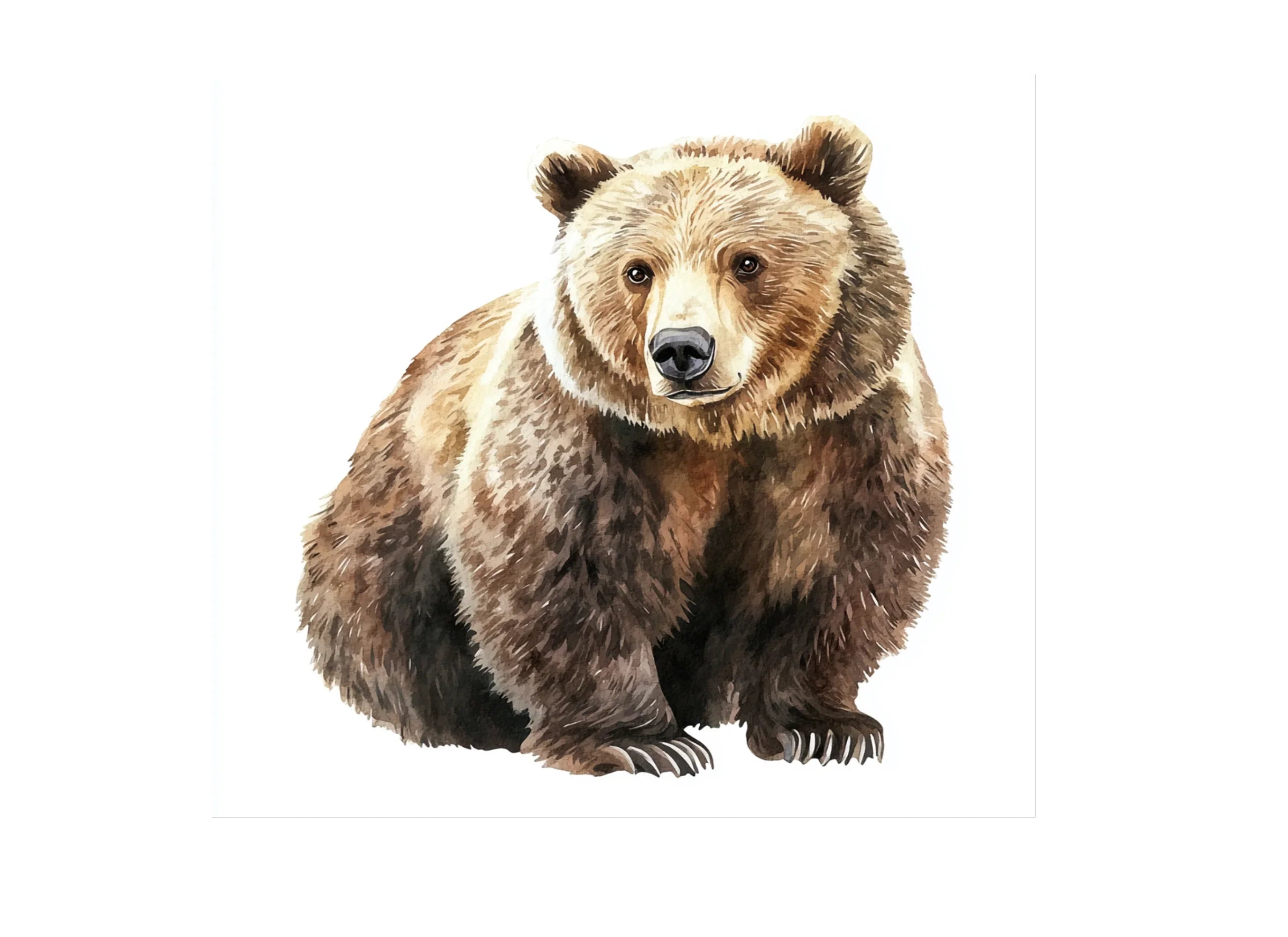 Realistic Grizzly Bear Clipart Bundle