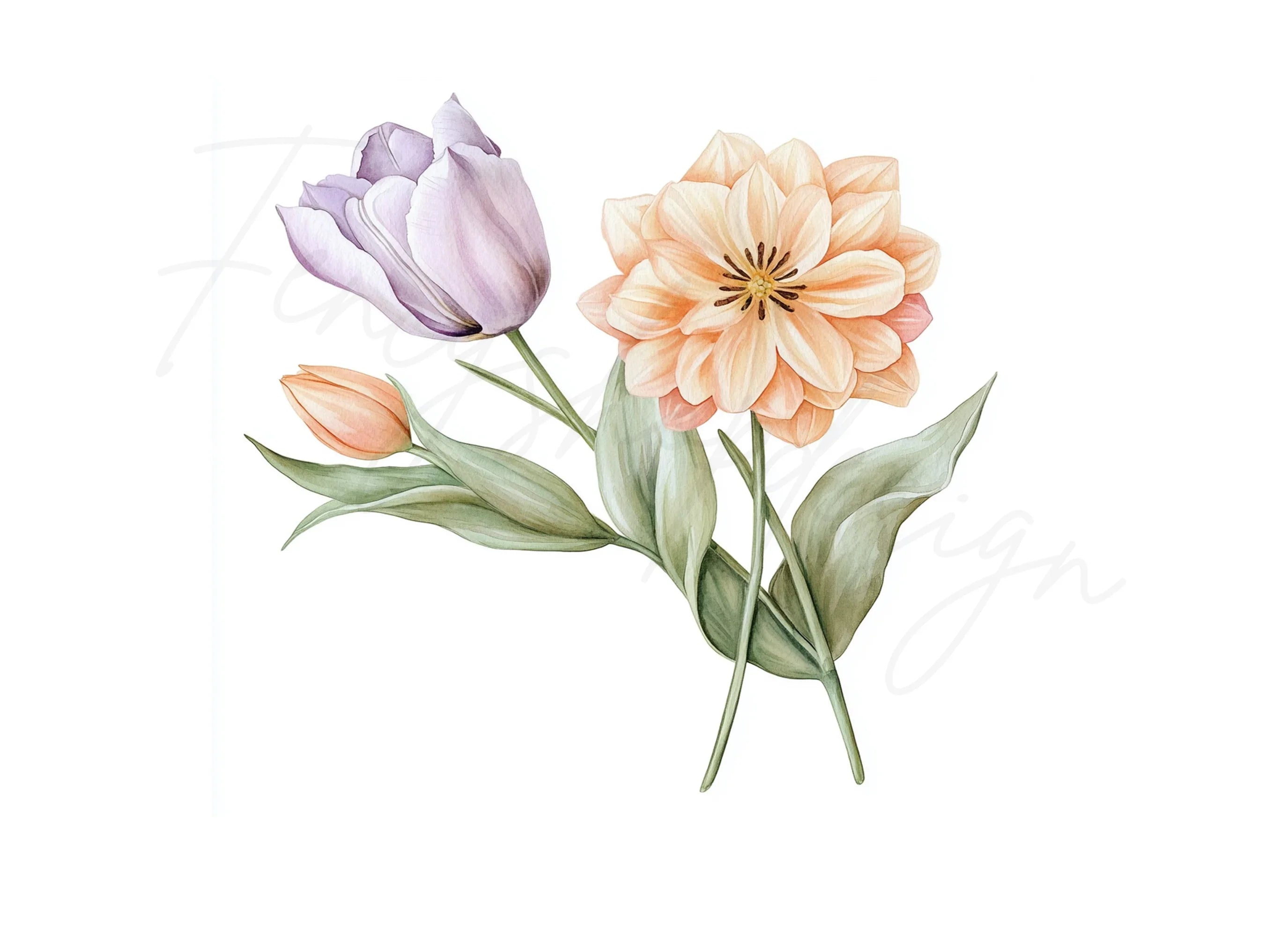 Spring Tulip Dahlia Bouquets Clipart Bundle