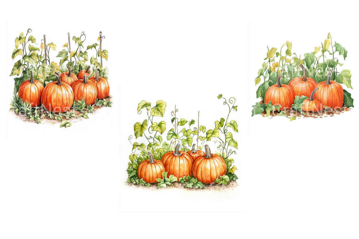 Pumpkin Garden Patch Clipart Bundle