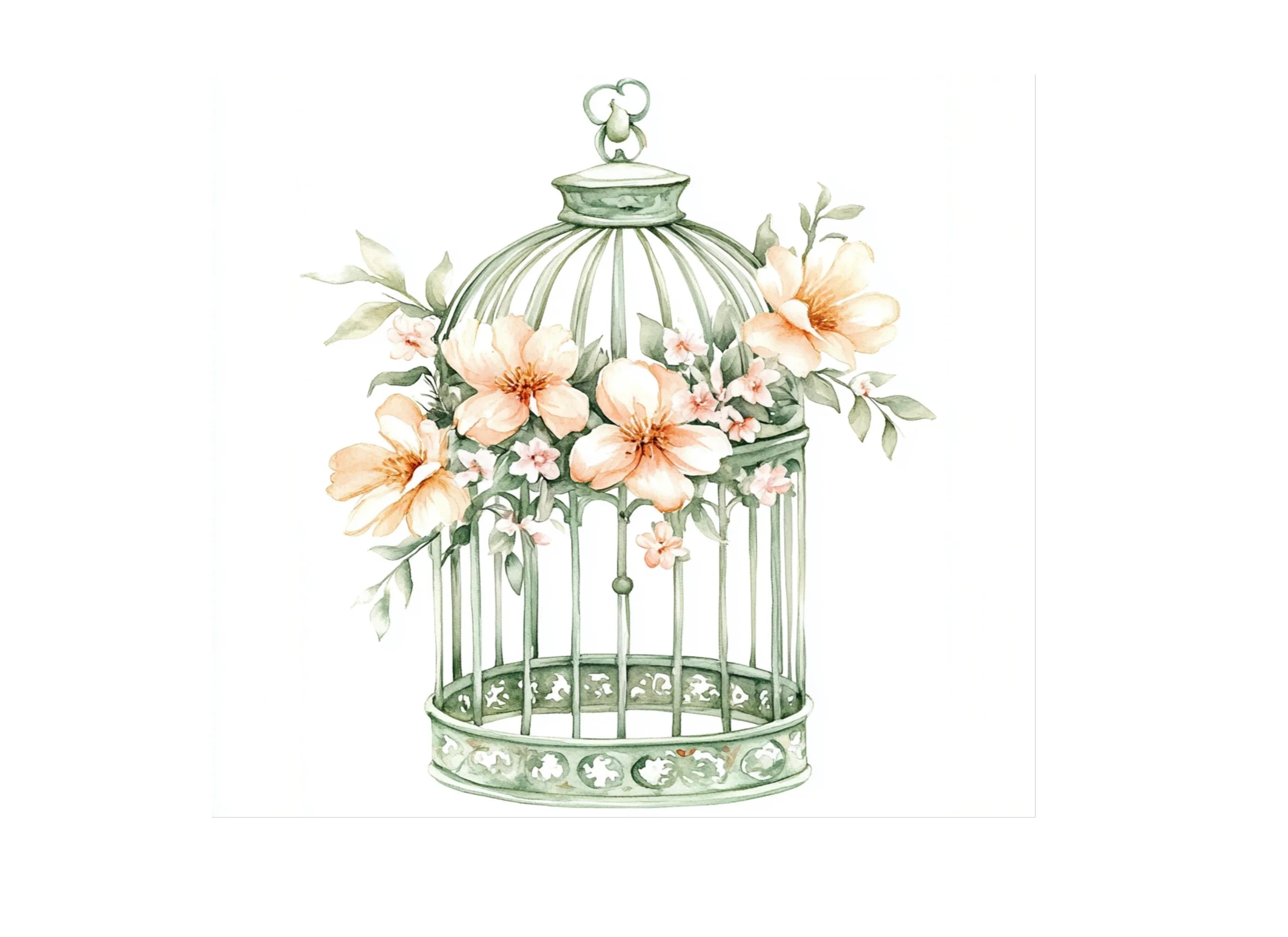 Floral Bird Cages with Delicate Blooms Clipart Bundle