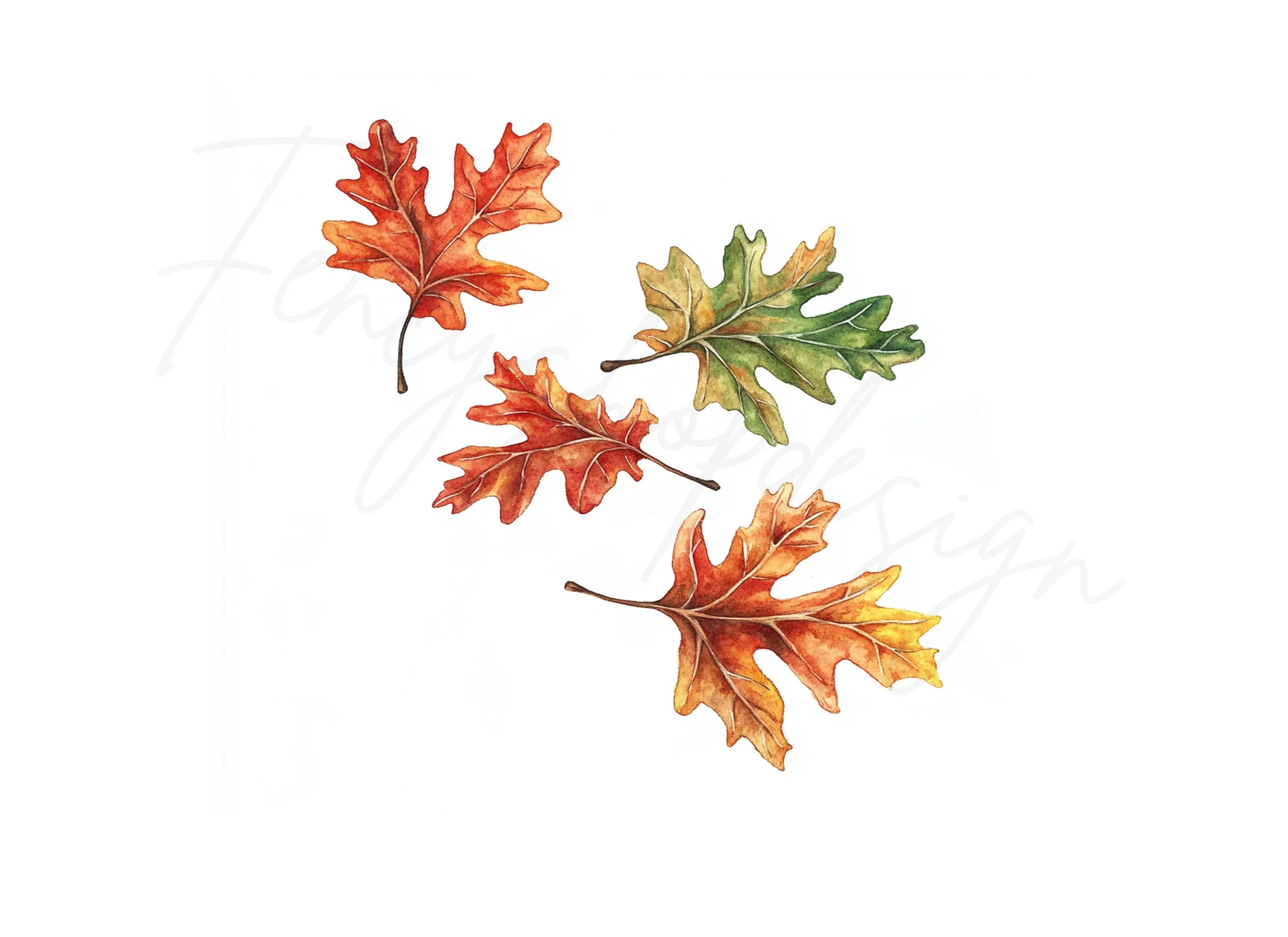 Autumn Oak Leaves Clipart Bundle