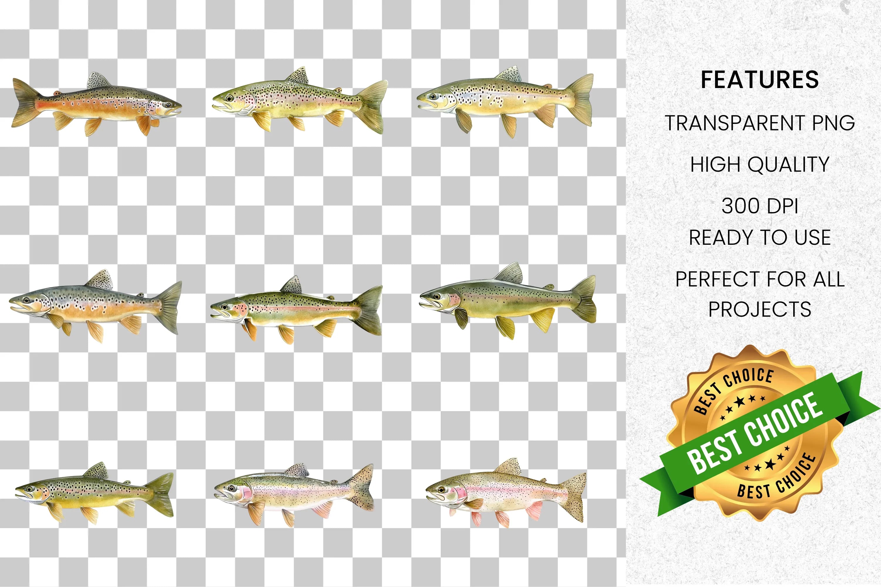 Trout Fish Clipart Bundle