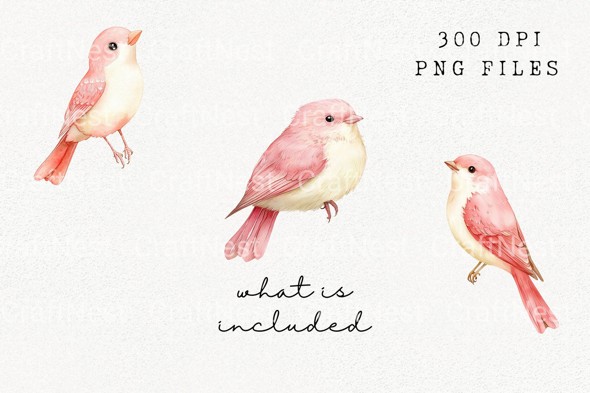 Perched Pink Bird Illustrations Clipart Bundle
