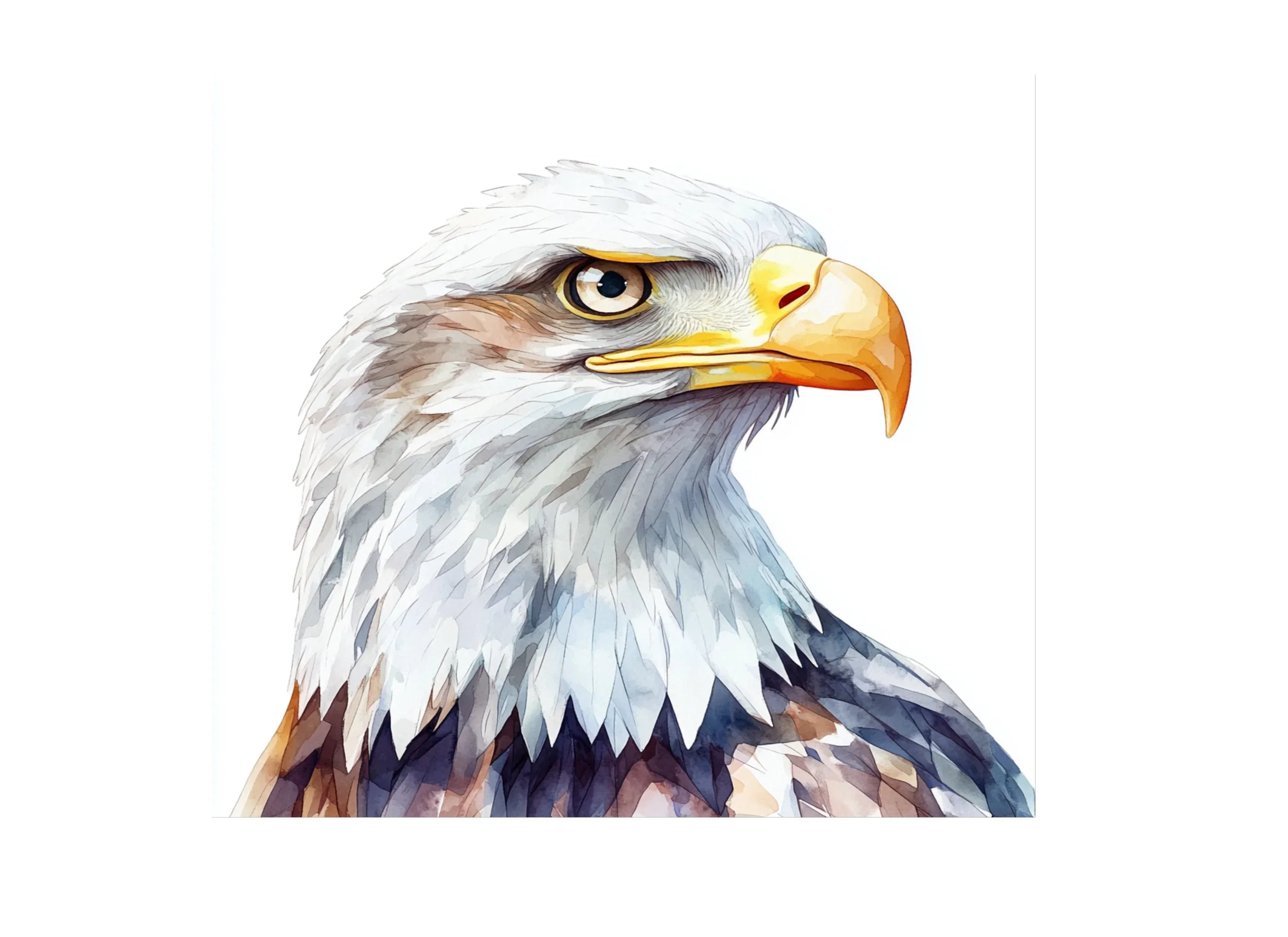 Bald Eagle Head Clipart Bundle