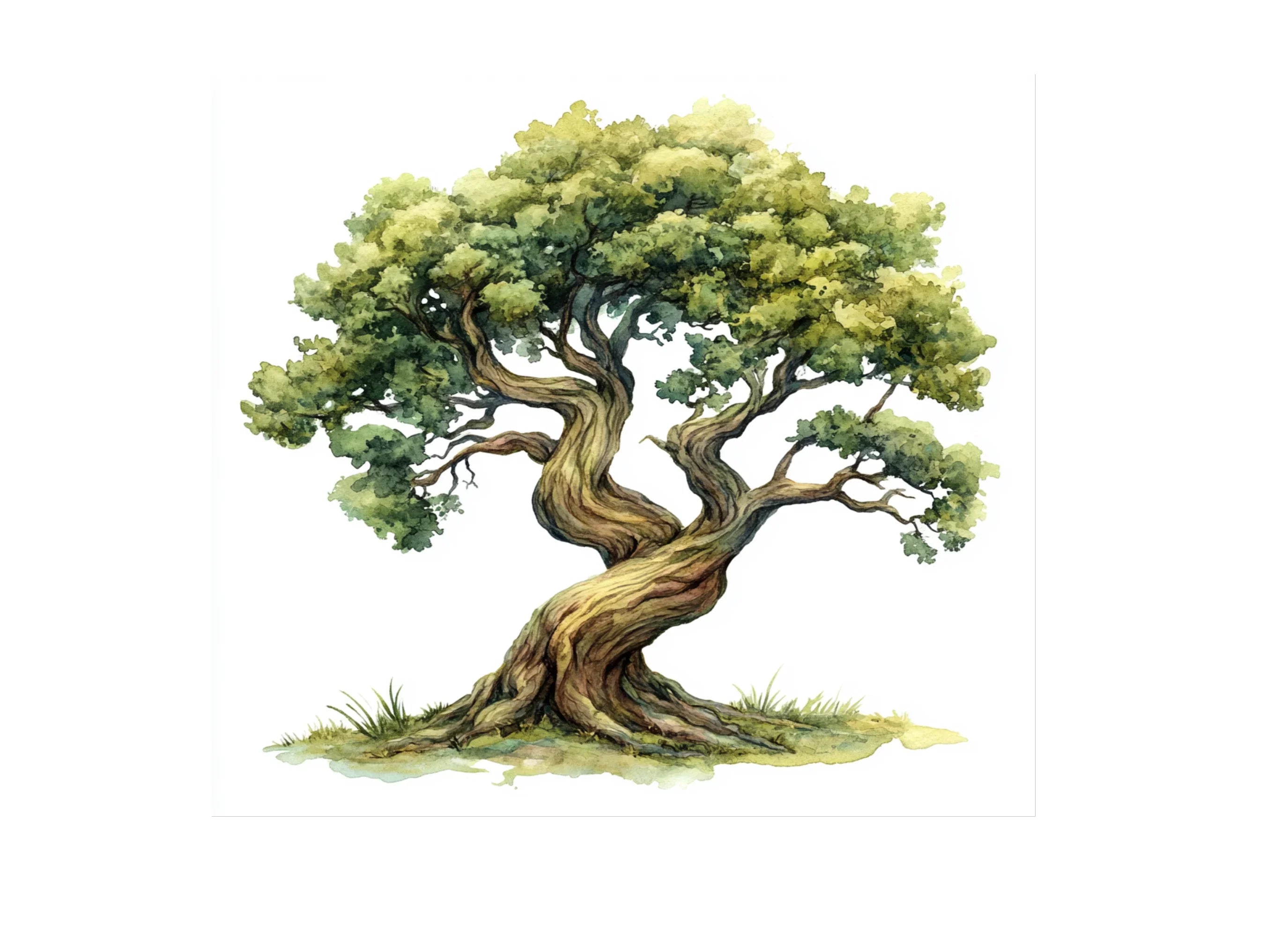 Green Tree Clipart Bundle