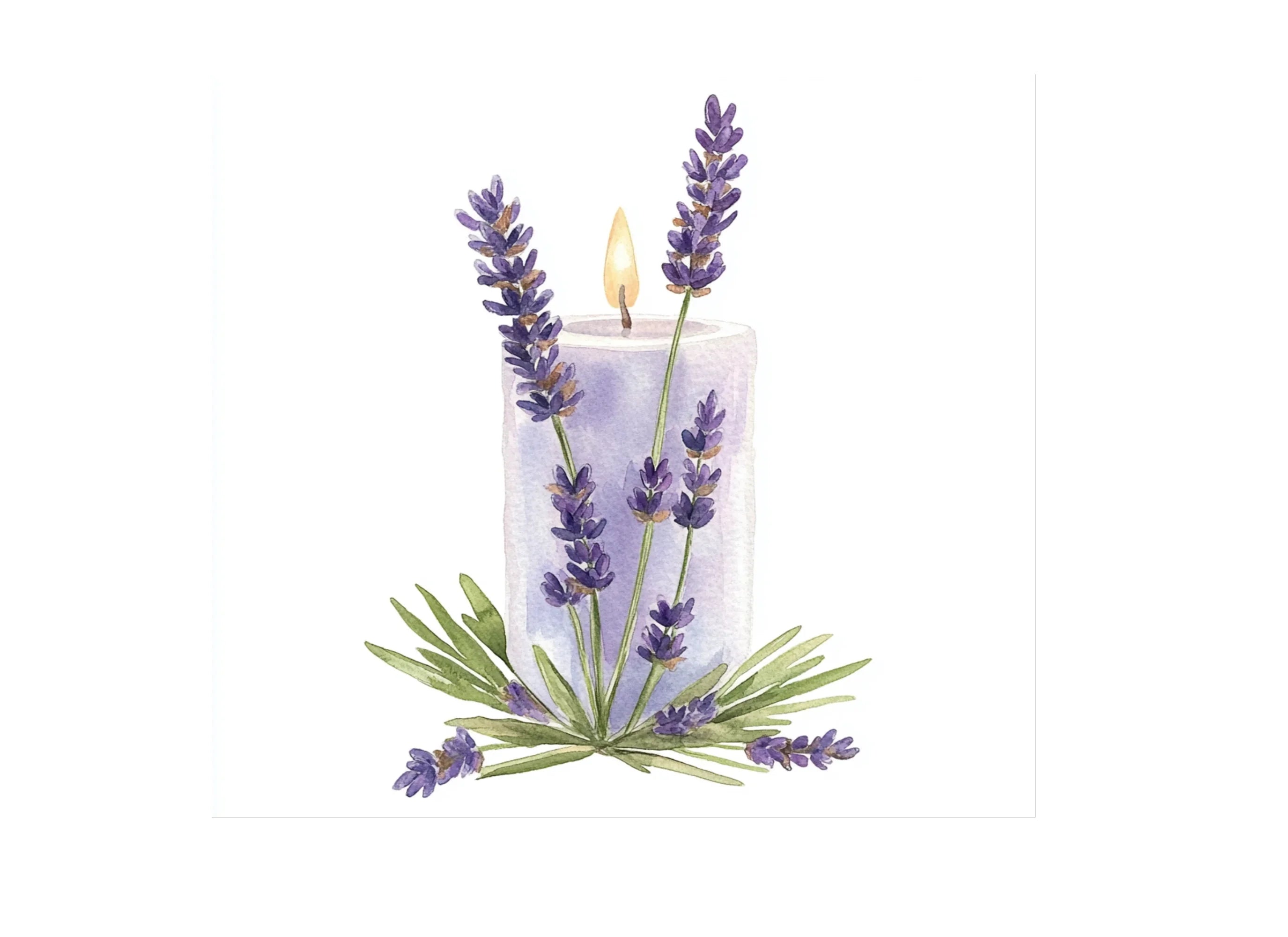 Lavender Candle Illustrations Clipart Bundle